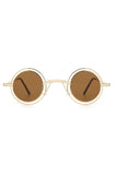 Aqua di Polo 1987 Brown Women's Sunglasses APSS067402