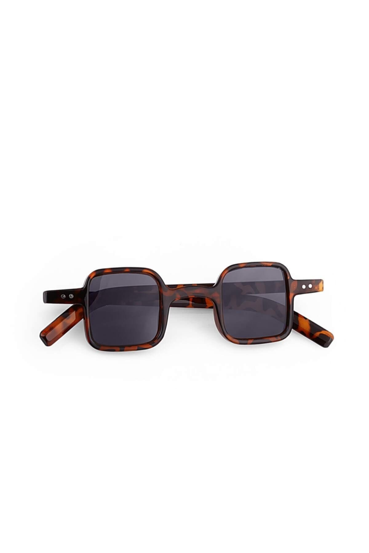 Aqua di Polo 1987 Brown Women's Sunglasses APSU033503