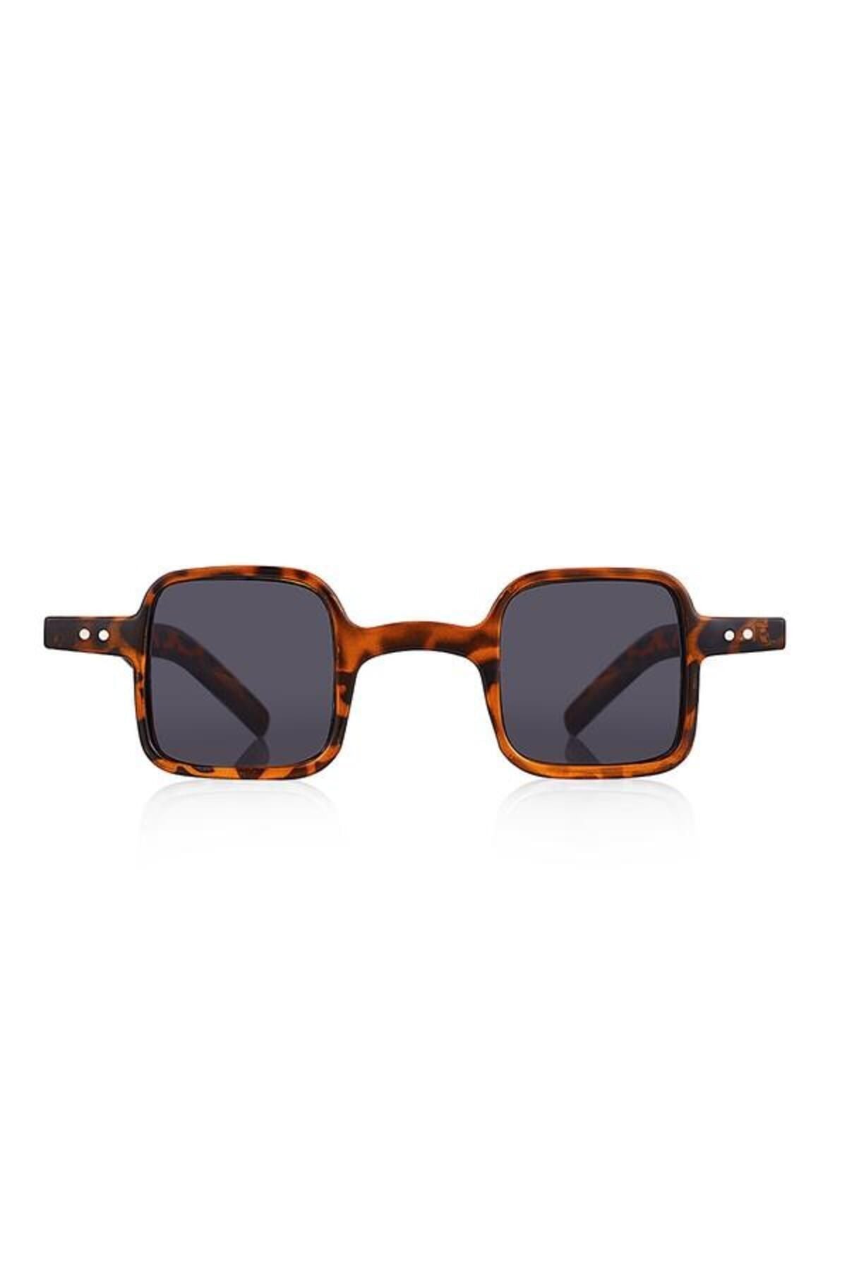 Aqua di Polo 1987 Brown Women's Sunglasses APSU033504