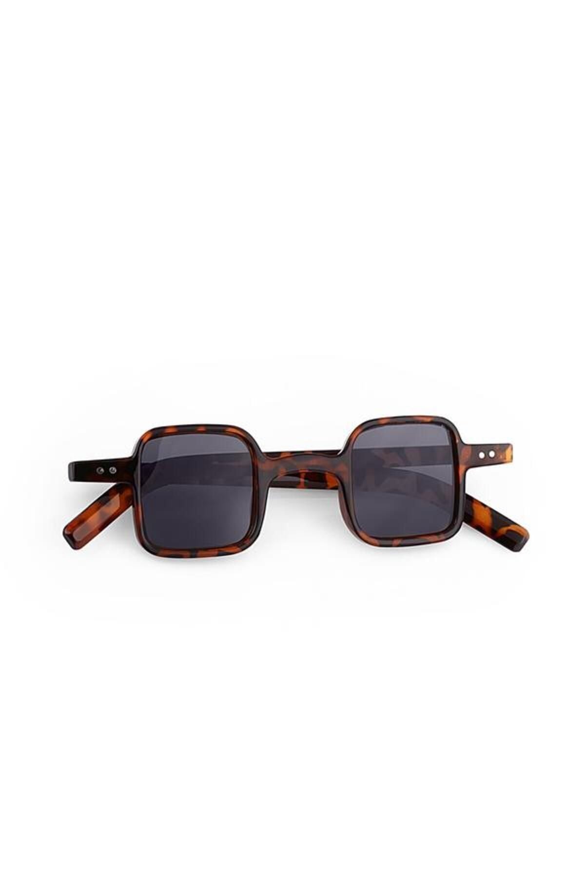 Aqua di Polo 1987 Brown Women's Sunglasses APSU033504