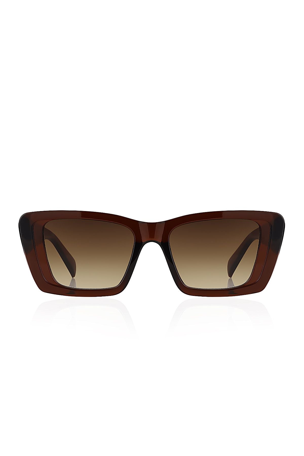 Aqua di Polo 1987 Brown Women's Sunglasses APSN012202