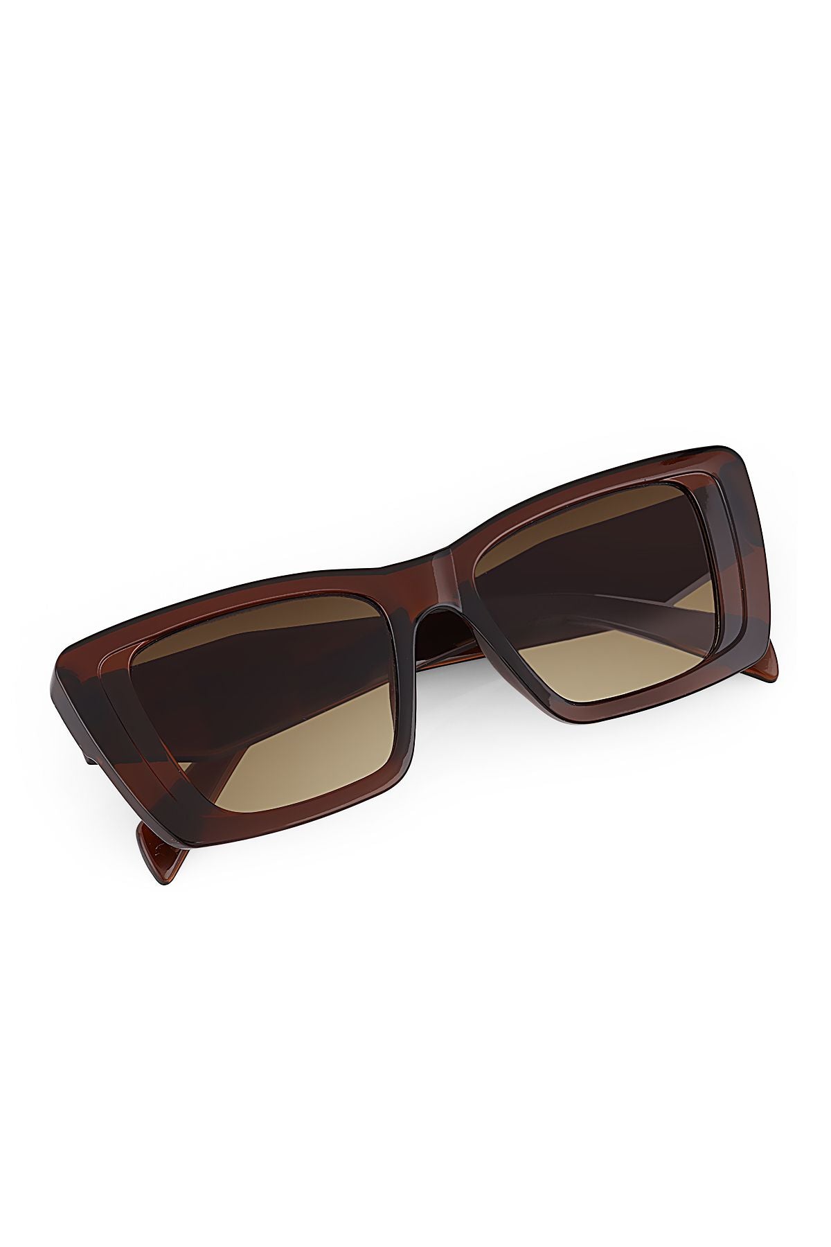 Aqua di Polo 1987 Brown Women's Sunglasses APSN012202
