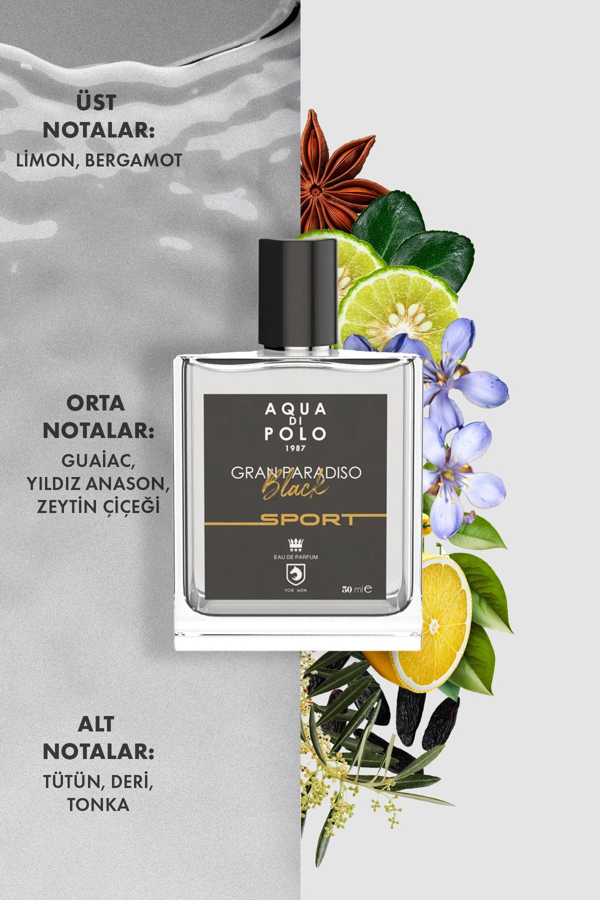 Aqua di Polo 1987 Gran Paradiso Black Sport EDP 50 ml Men's Perfume APCN000514