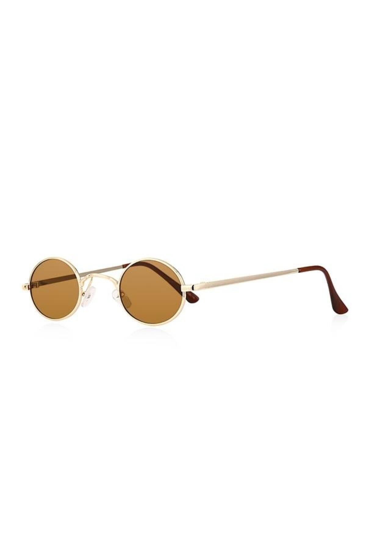 Aqua di Polo 1987 Brown Women's Sunglasses APSI001404