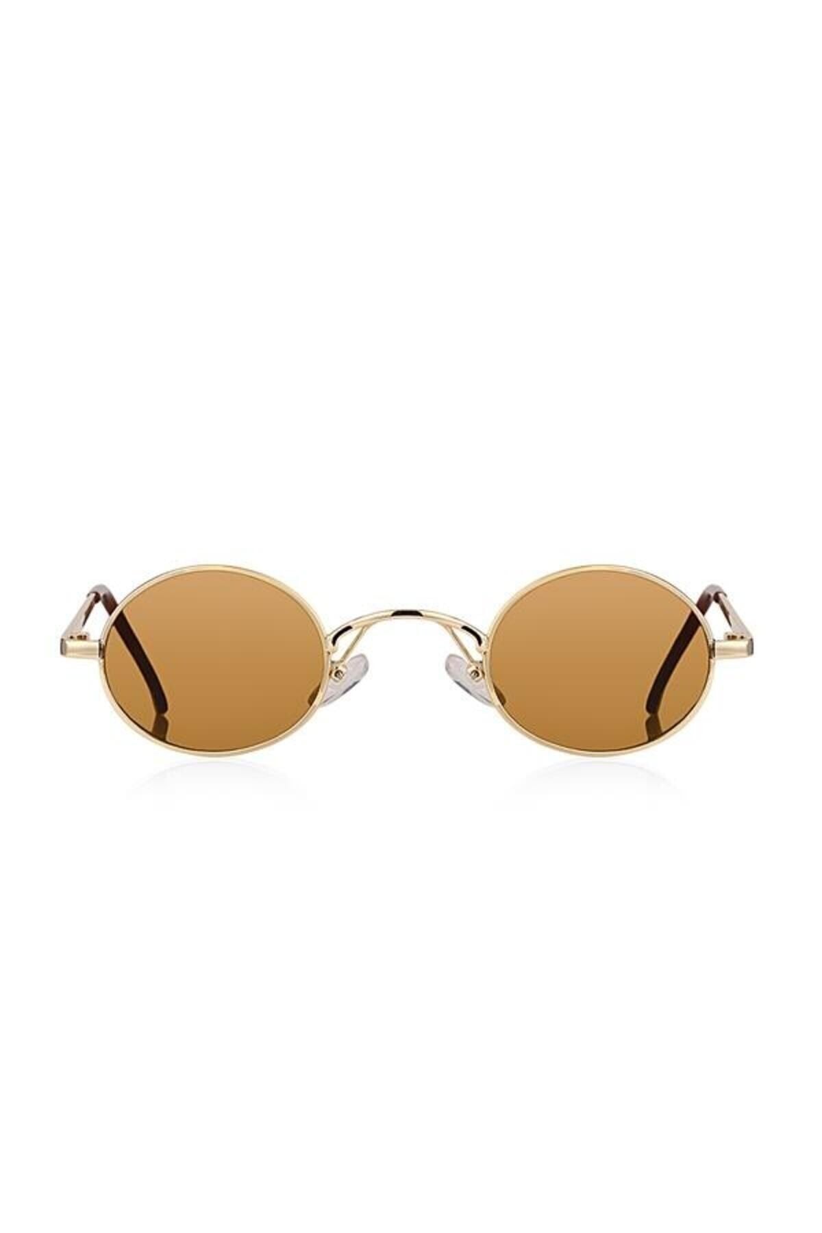 Aqua di Polo 1987 Brown Women's Sunglasses APSI001404