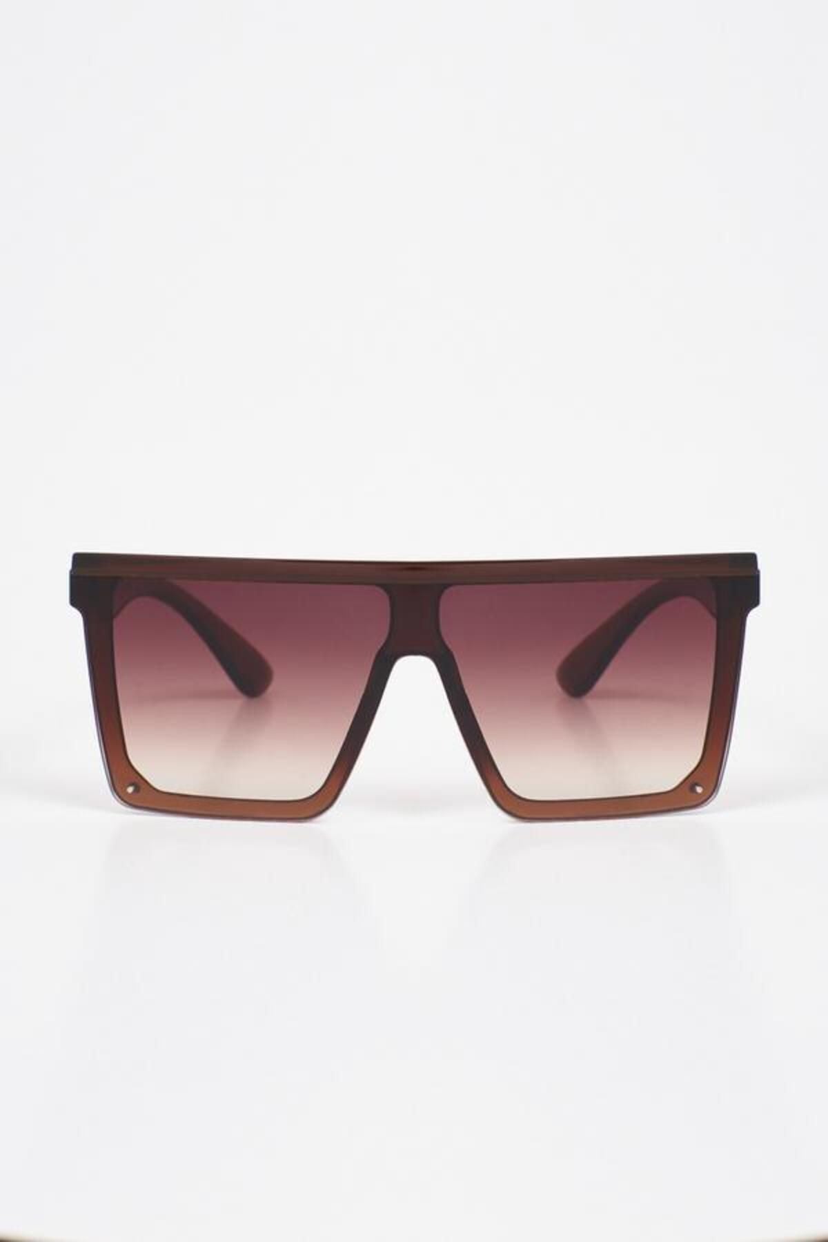 Aqua di Polo 1987 Brown Women's Sunglasses APSN004101