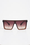Aqua di Polo 1987 Brown Women's Sunglasses APSN004101