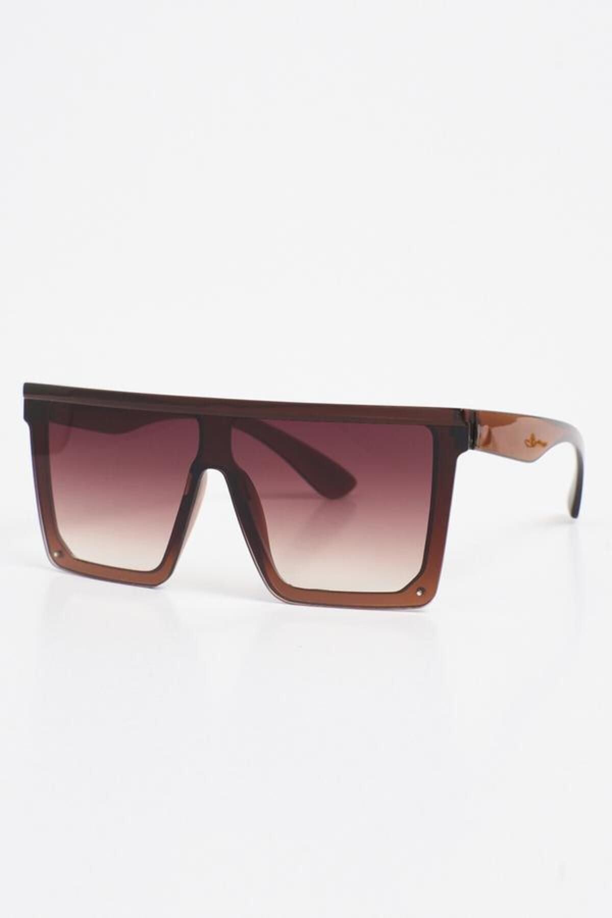 Aqua di Polo 1987 Brown Women's Sunglasses APSN004101
