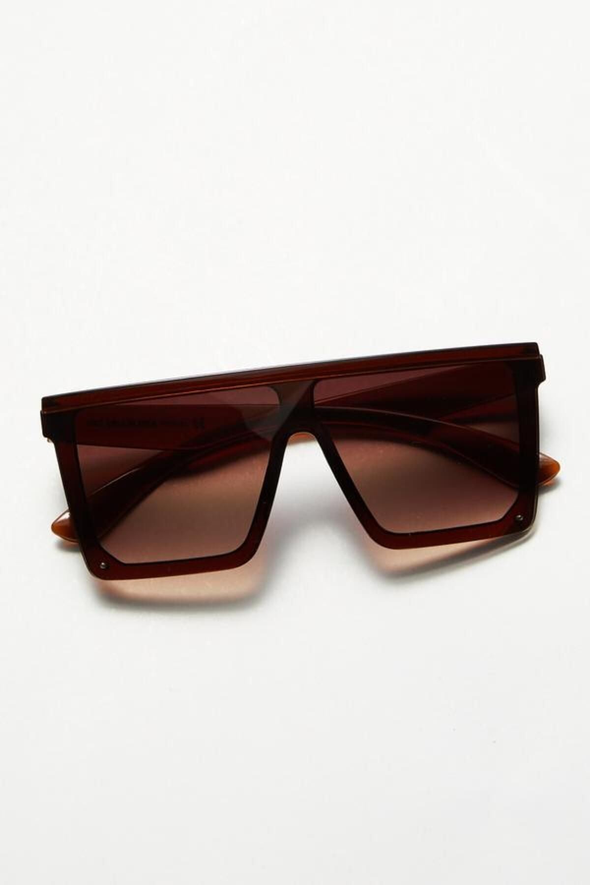 Aqua di Polo 1987 Brown Women's Sunglasses APSN004101