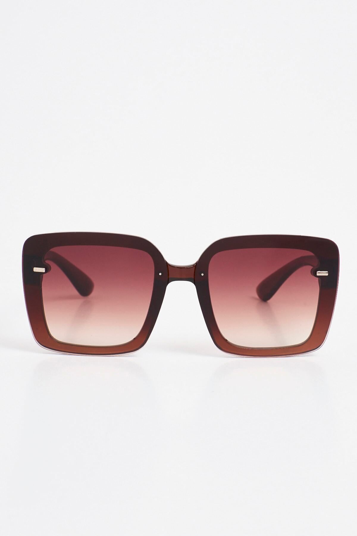 Aqua di Polo 1987 Brown Women's Sunglasses APSN004301