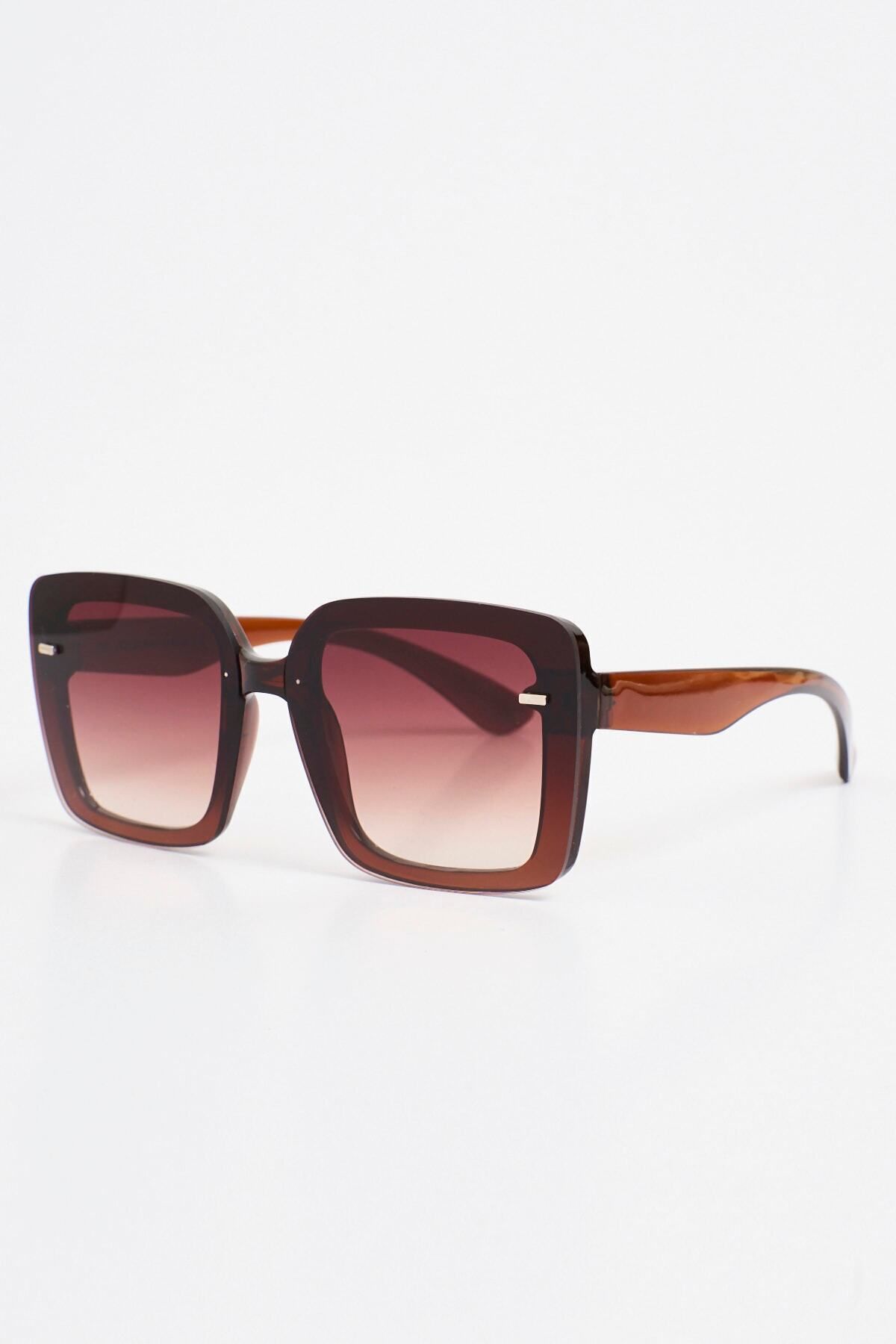 Aqua di Polo 1987 Brown Women's Sunglasses APSN004301