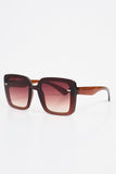 Aqua di Polo 1987 Brown Women's Sunglasses APSN004301