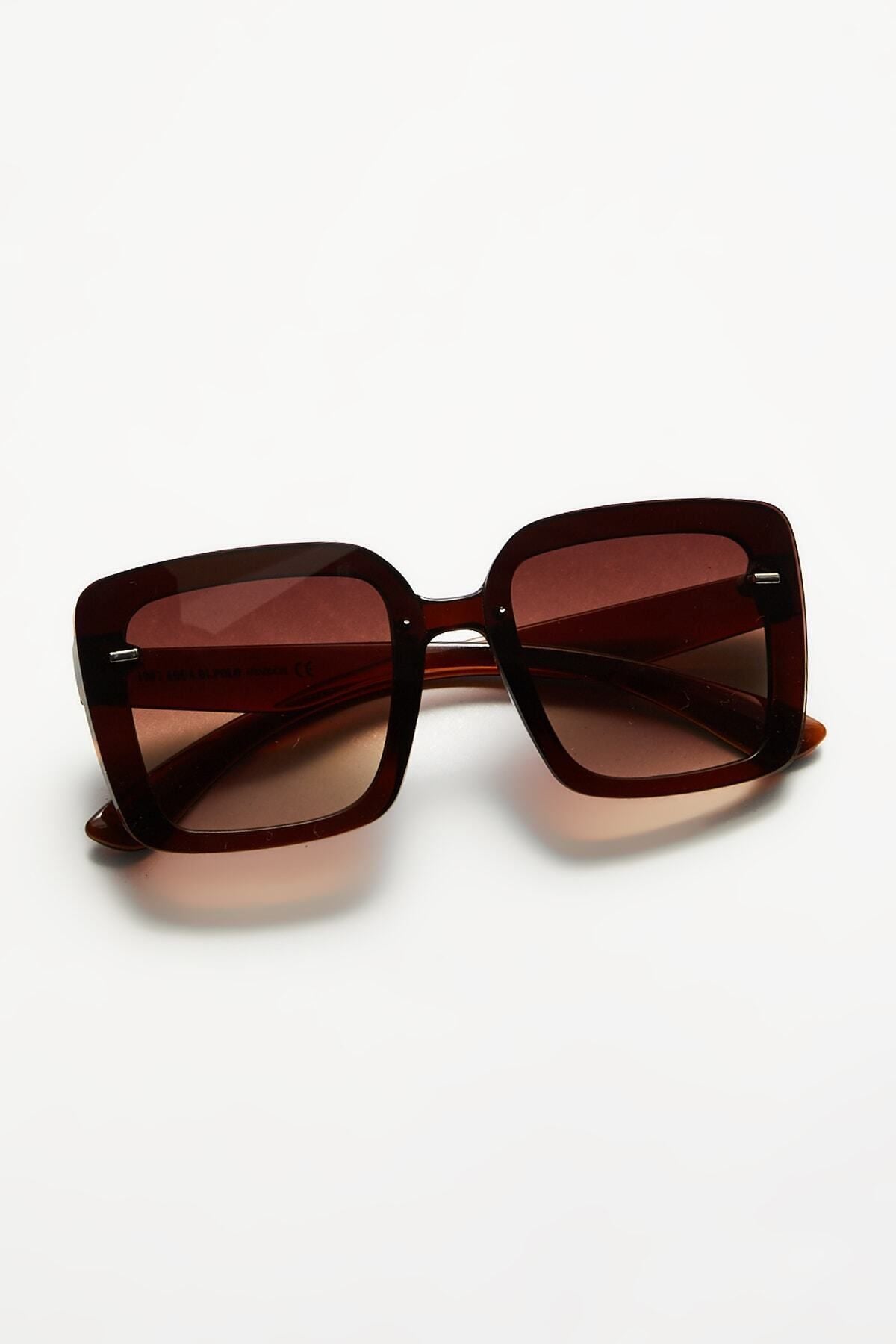 Aqua di Polo 1987 Brown Women's Sunglasses APSN004301