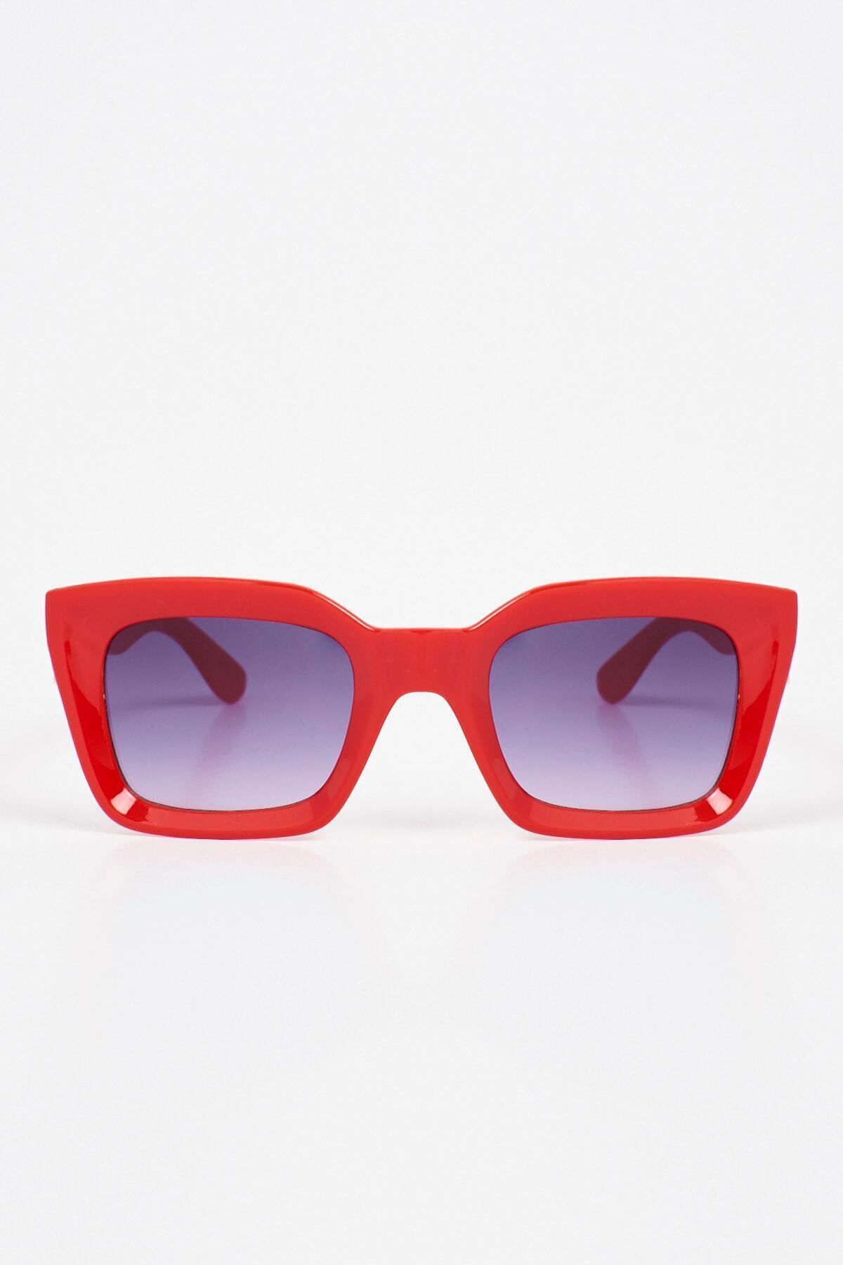 Aqua di Polo 1987 Smoke Women's Sunglasses APSN004406