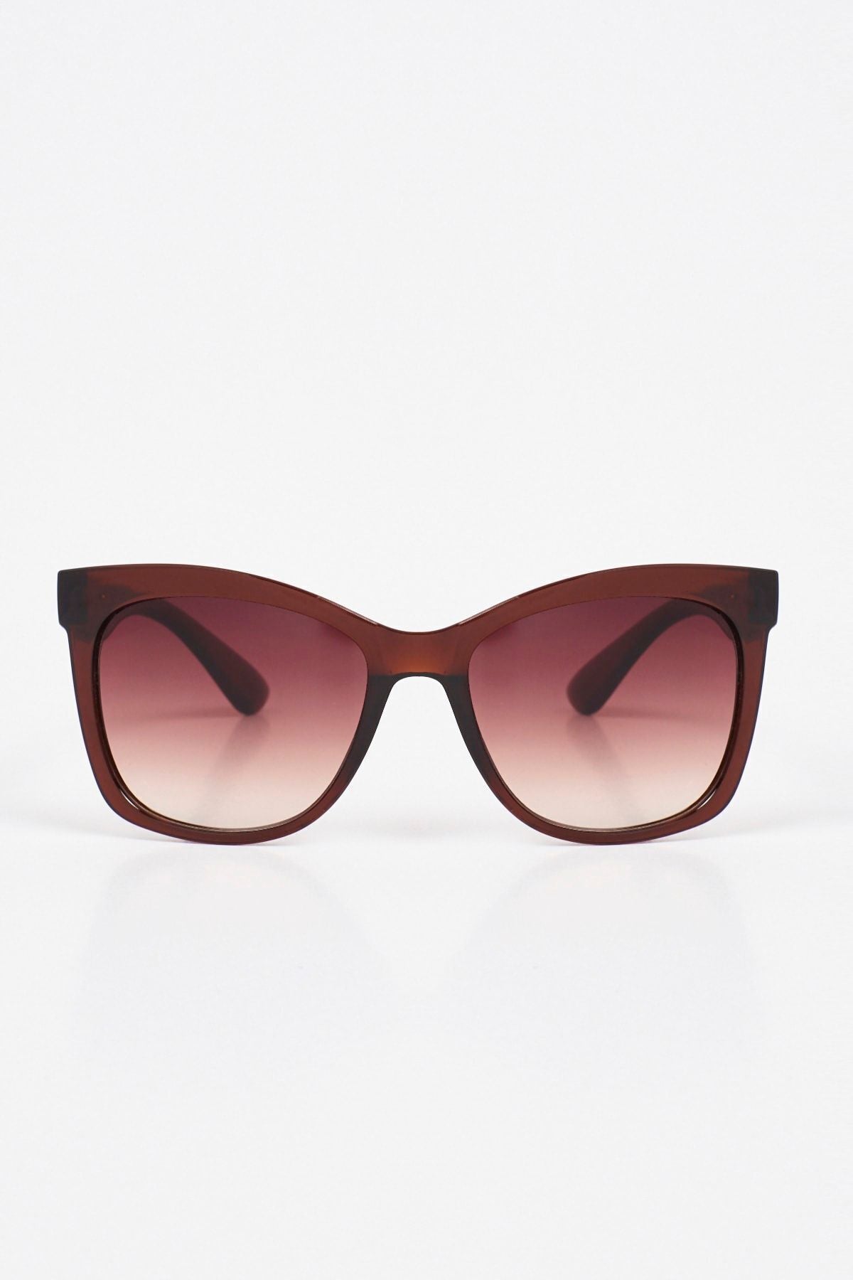 Aqua di Polo 1987 Brown Women's Sunglasses APSN004801