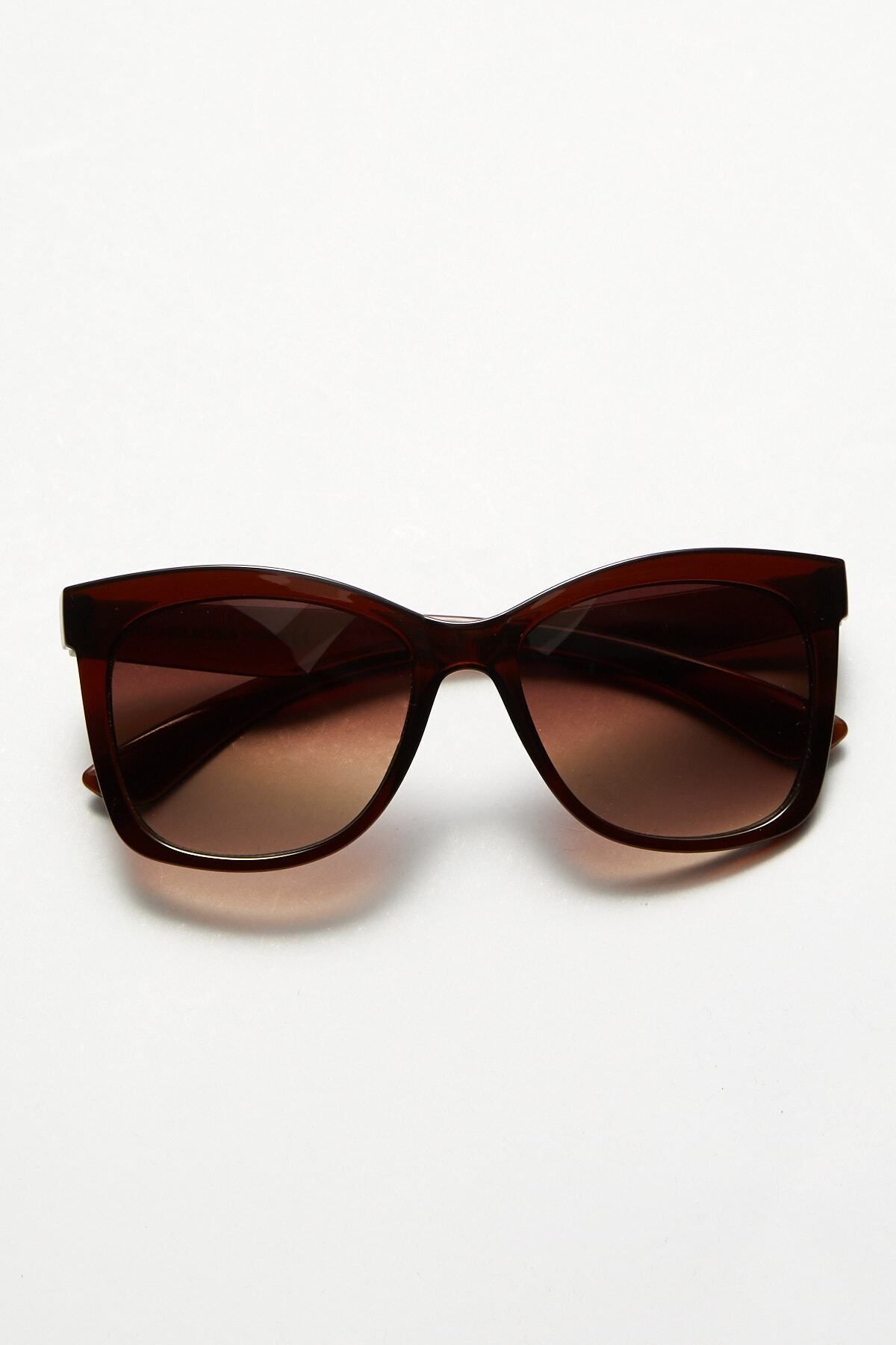 Aqua di Polo 1987 Brown Women's Sunglasses APSN004801