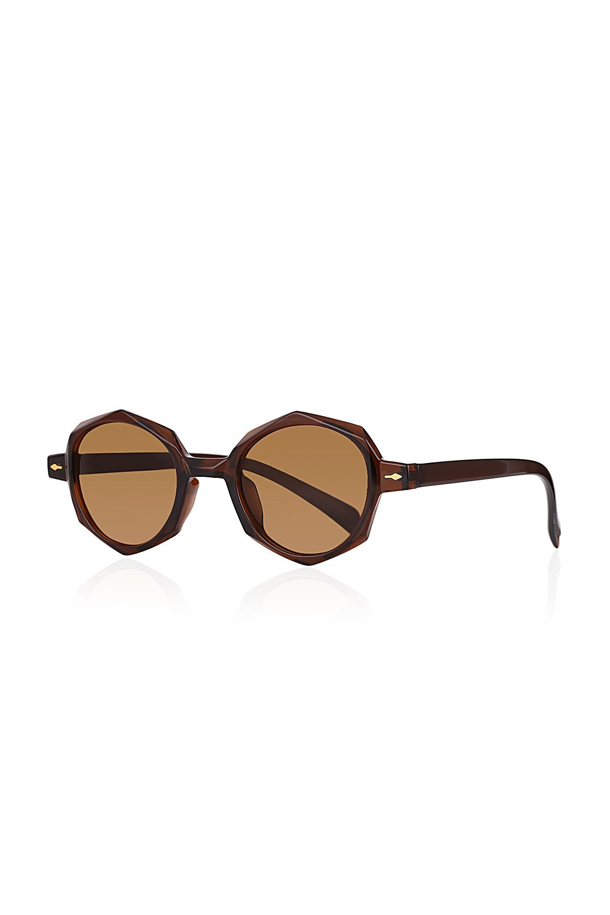 Aqua di Polo 1987 Brown Women's Sunglasses APSI002504