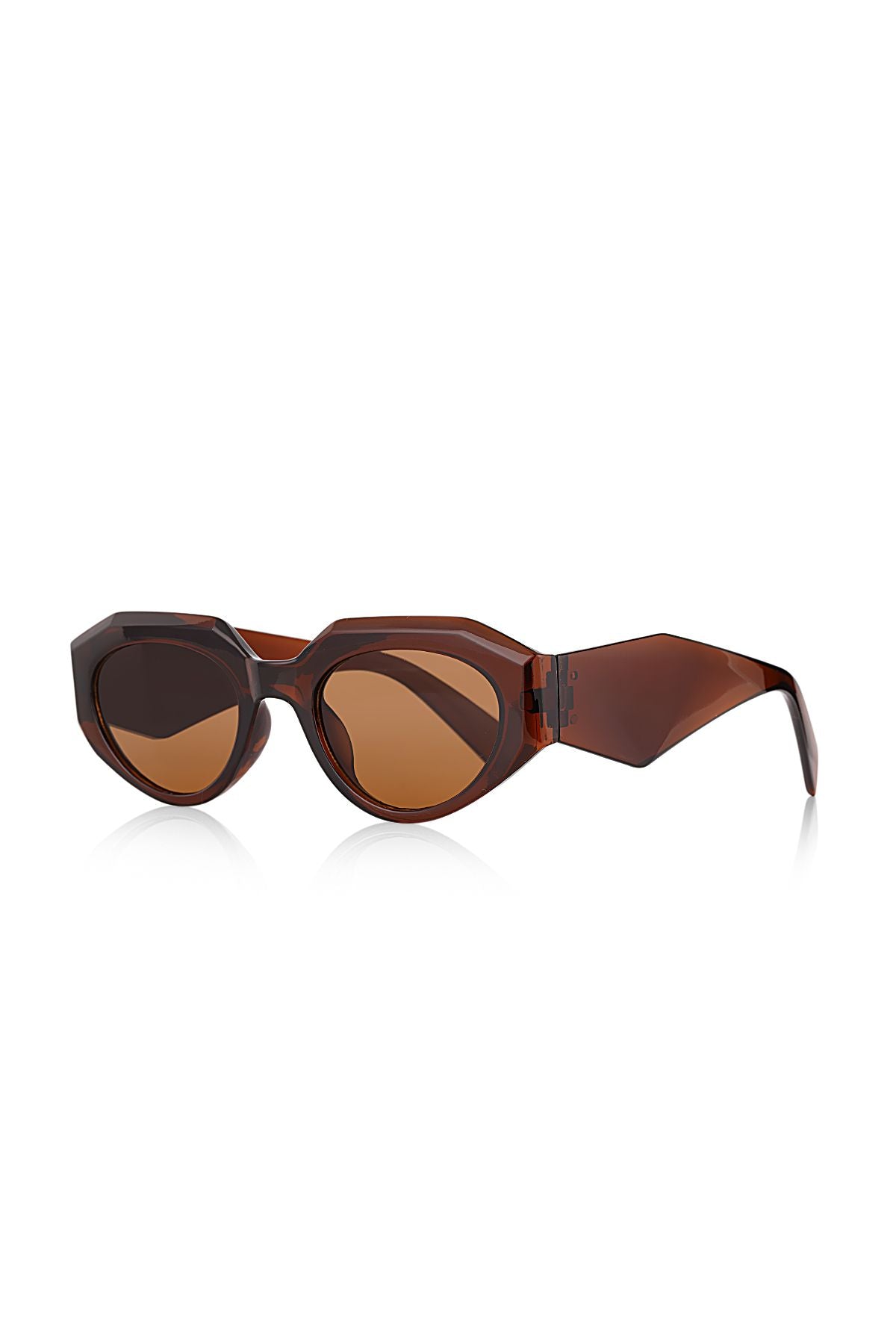 Aqua di Polo 1987 Brown Women's Sunglasses APSN010102