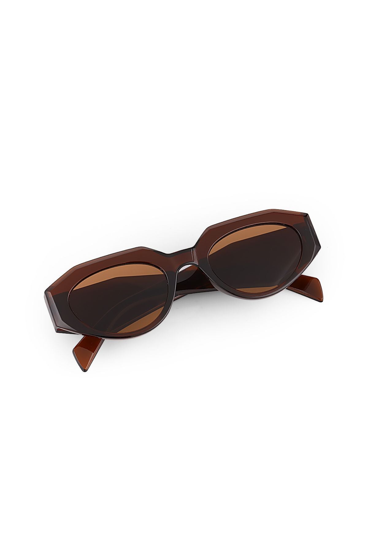 Aqua di Polo 1987 Brown Women's Sunglasses APSN010102