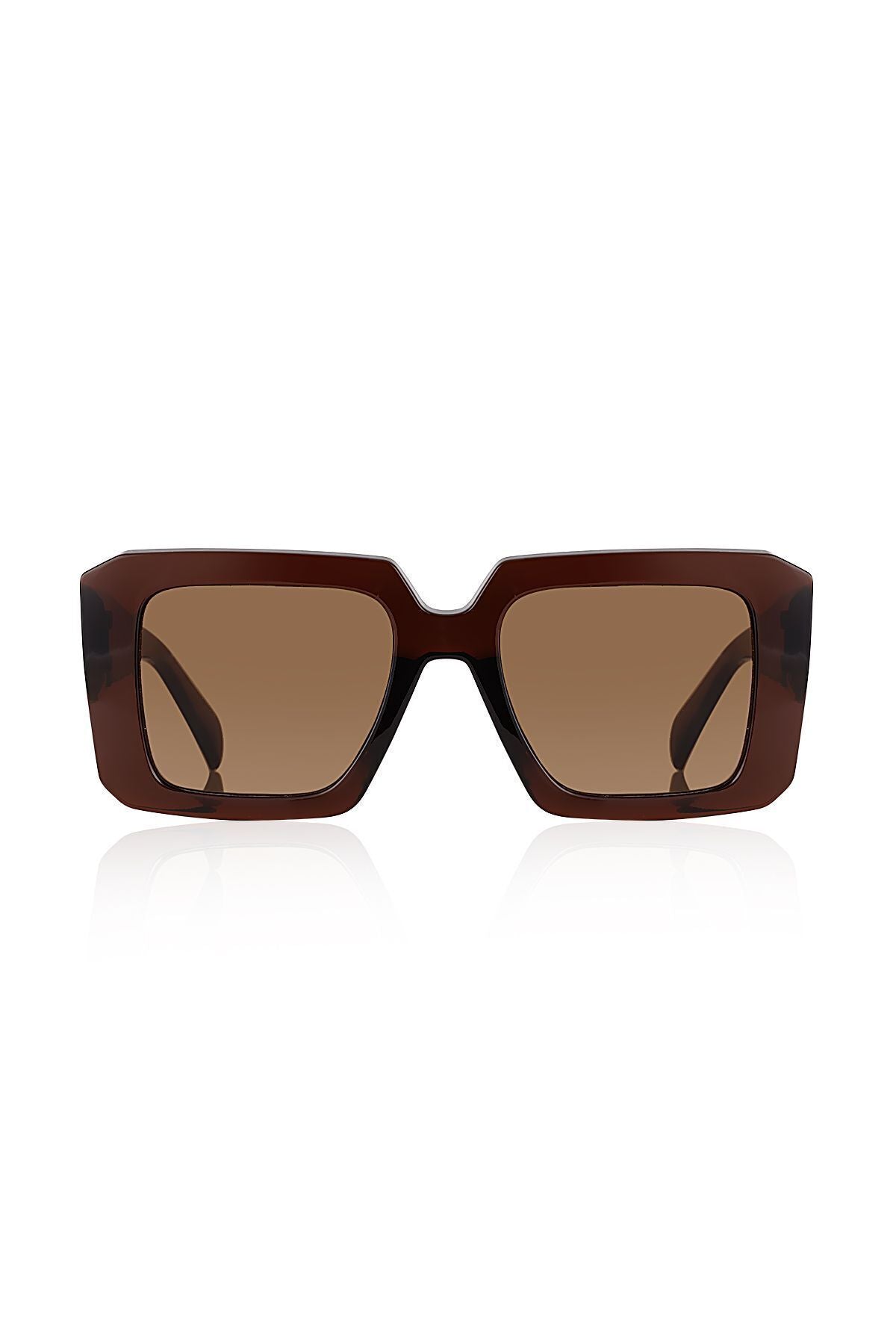Aqua di Polo 1987 Brown Women's Sunglasses APSN011302