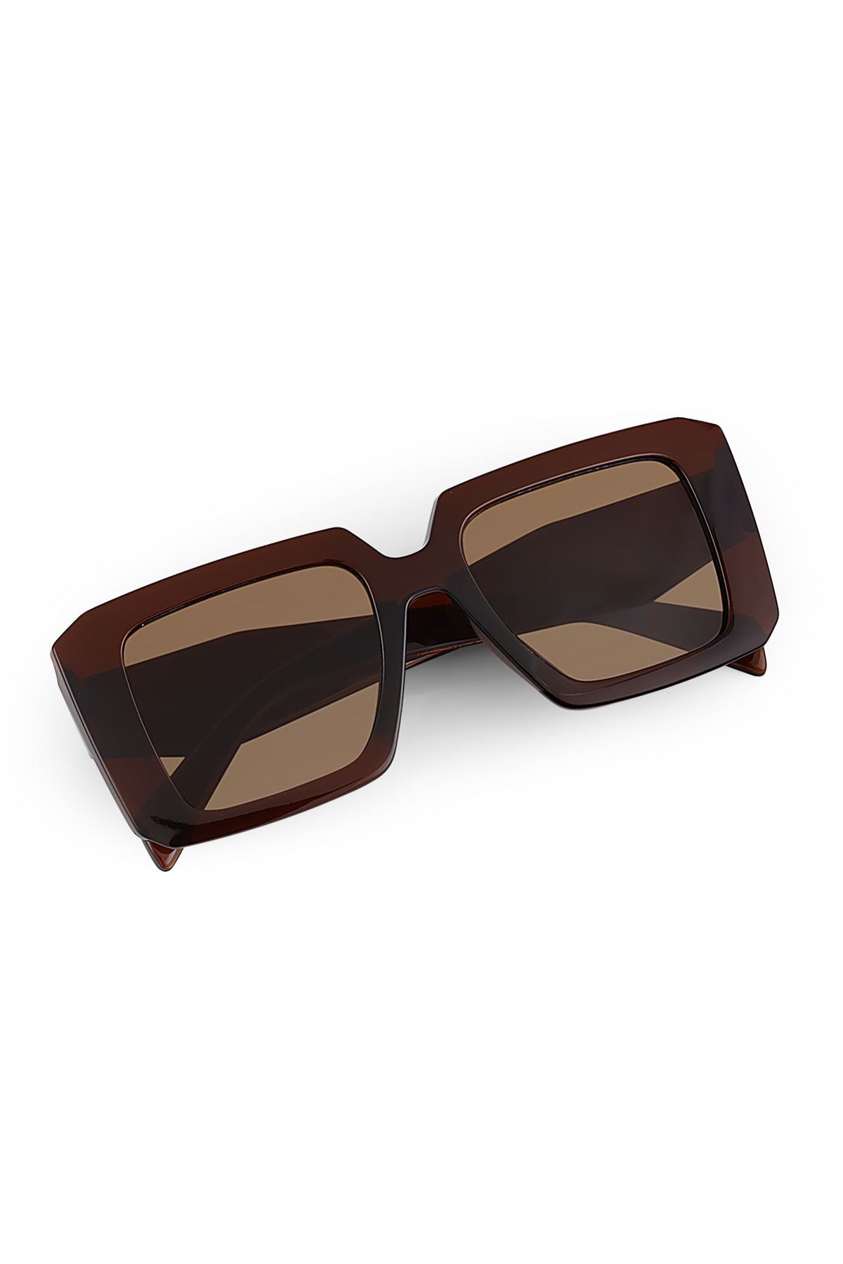 Aqua di Polo 1987 Brown Women's Sunglasses APSN011302