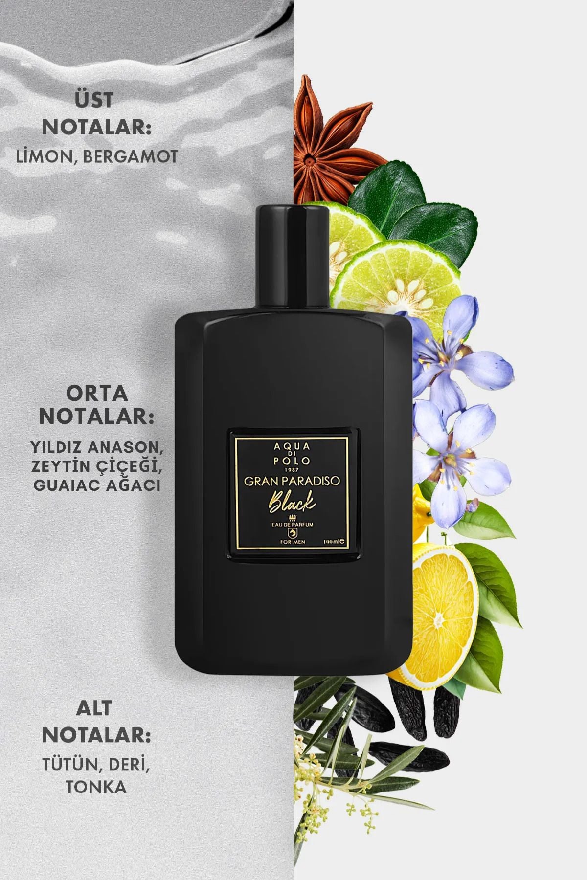 Aqua di Polo Gran Paradiso Black 100 Ml EDP Men's Perfume 