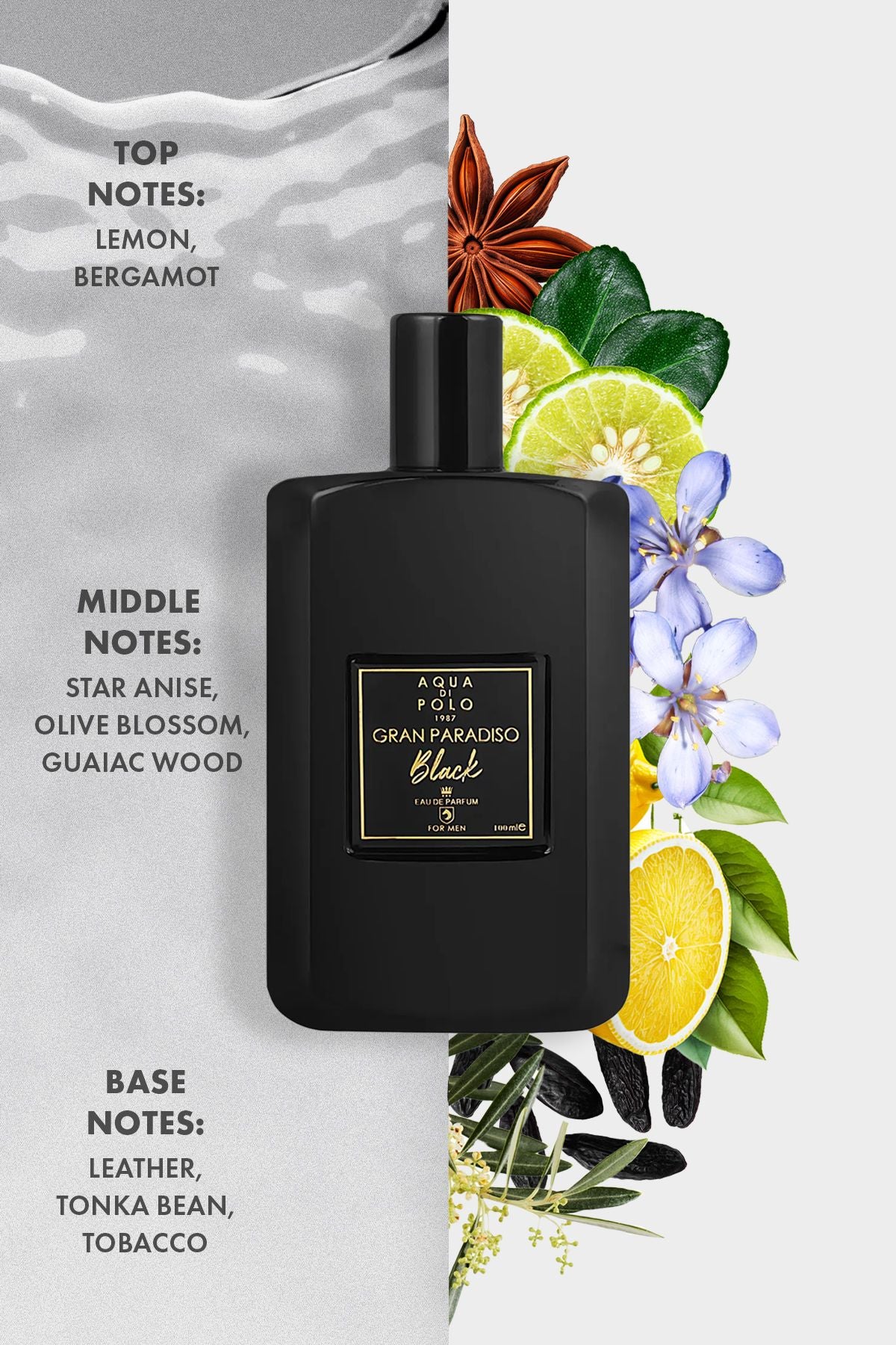 Aqua di Polo Gran Paradiso Black 100 Ml EDP Men's Perfume 