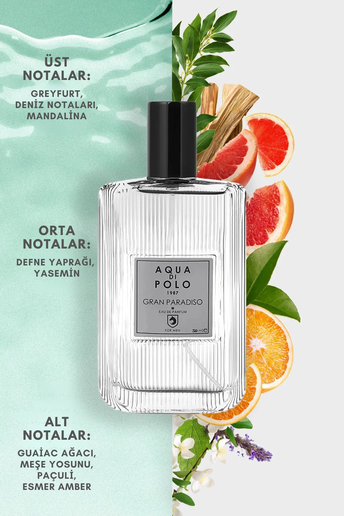 Gran Paradiso EDP Erkek Parfüm 50 ml | Narenciye, Odunsu | Greyfurt, Deniz, Paçuli, Amber