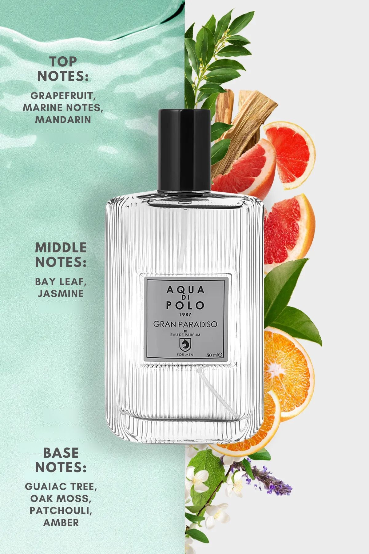 Gran Paradiso EDP Erkek Parfüm 50 ml | Narenciye, Odunsu | Greyfurt, Deniz, Paçuli, Amber