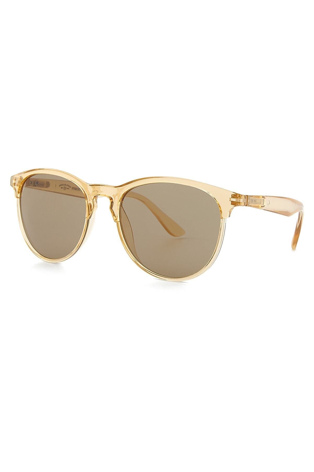 Aqua di Polo 1987 Brown Women's Sunglasses APSN001303