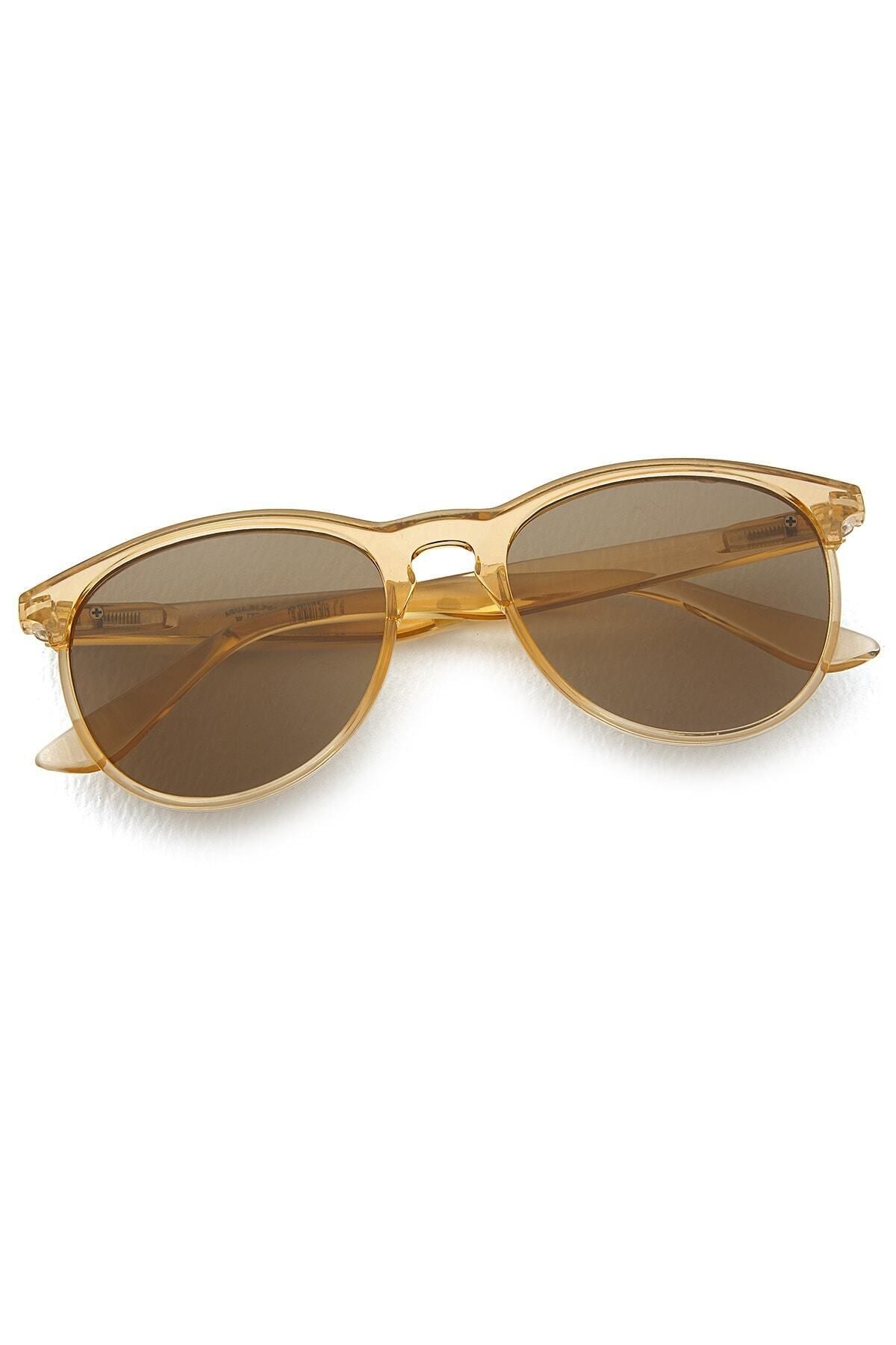 Aqua di Polo 1987 Brown Women's Sunglasses APSN001303