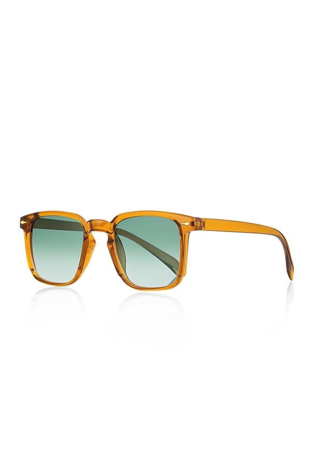 Aqua di Polo 1987 Brown Women's Sunglasses APSI001904
