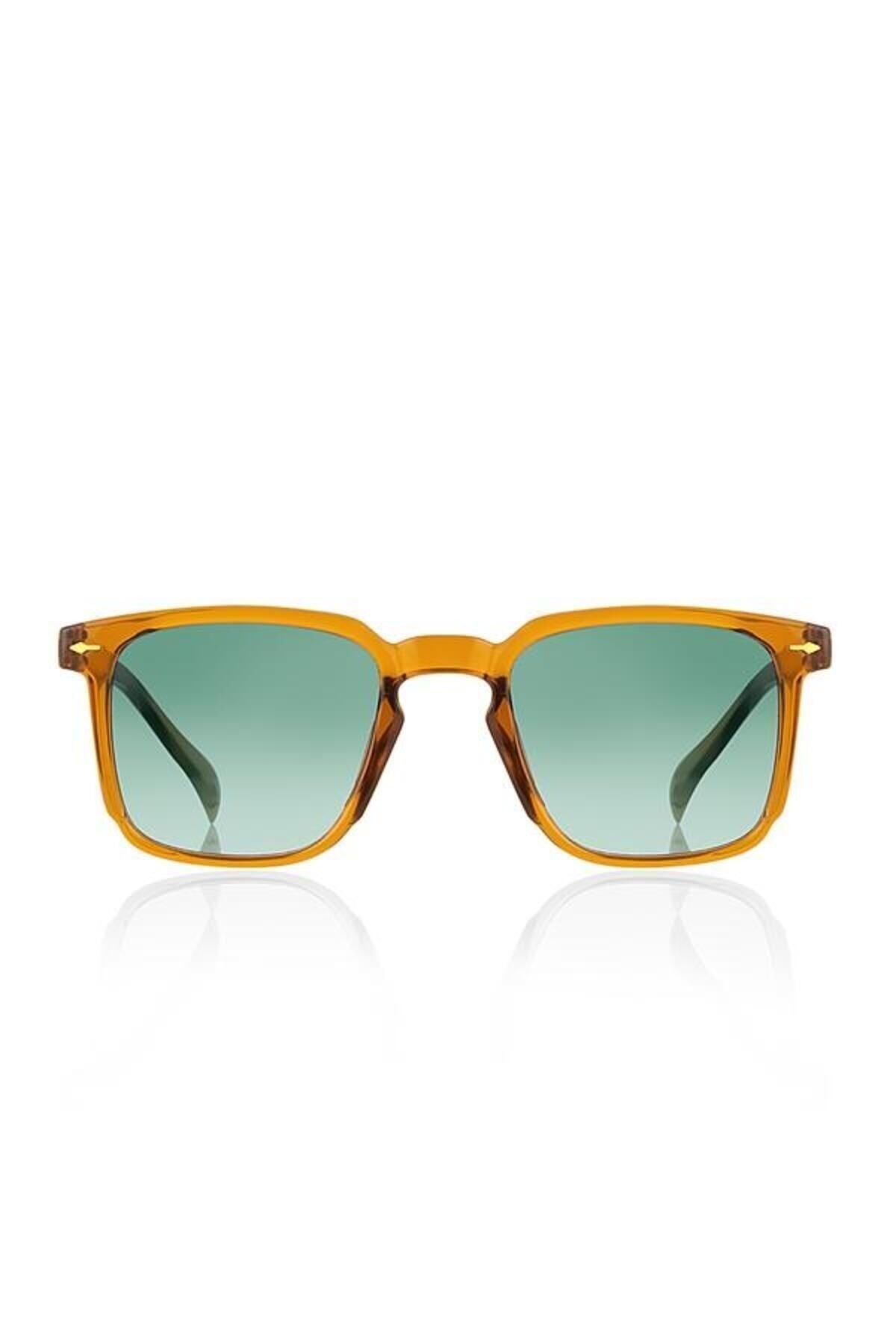 Aqua di Polo 1987 Brown Women's Sunglasses APSI001904