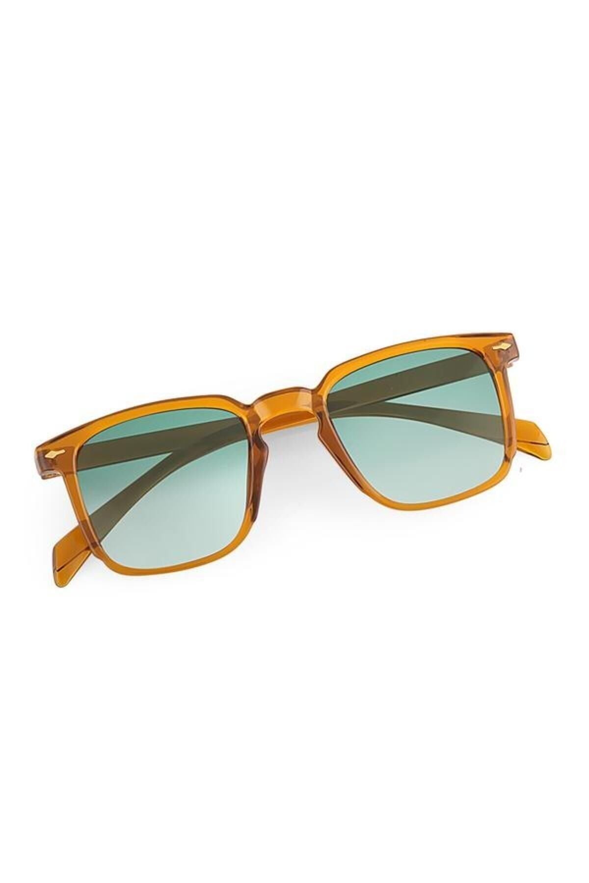 Aqua di Polo 1987 Brown Women's Sunglasses APSI001904