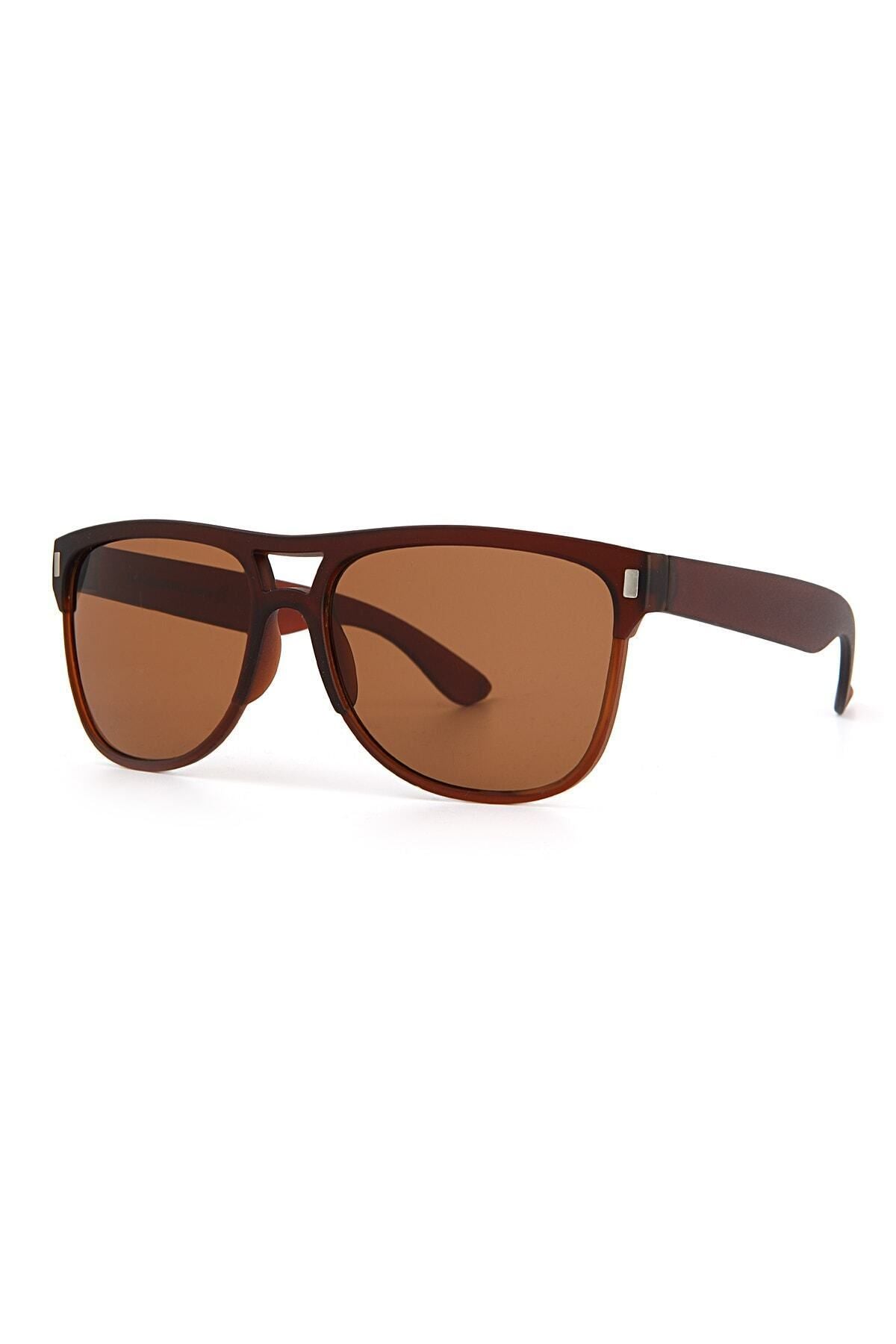 Aqua di Polo 1987 Brown Unisex Sunglasses APSN005101