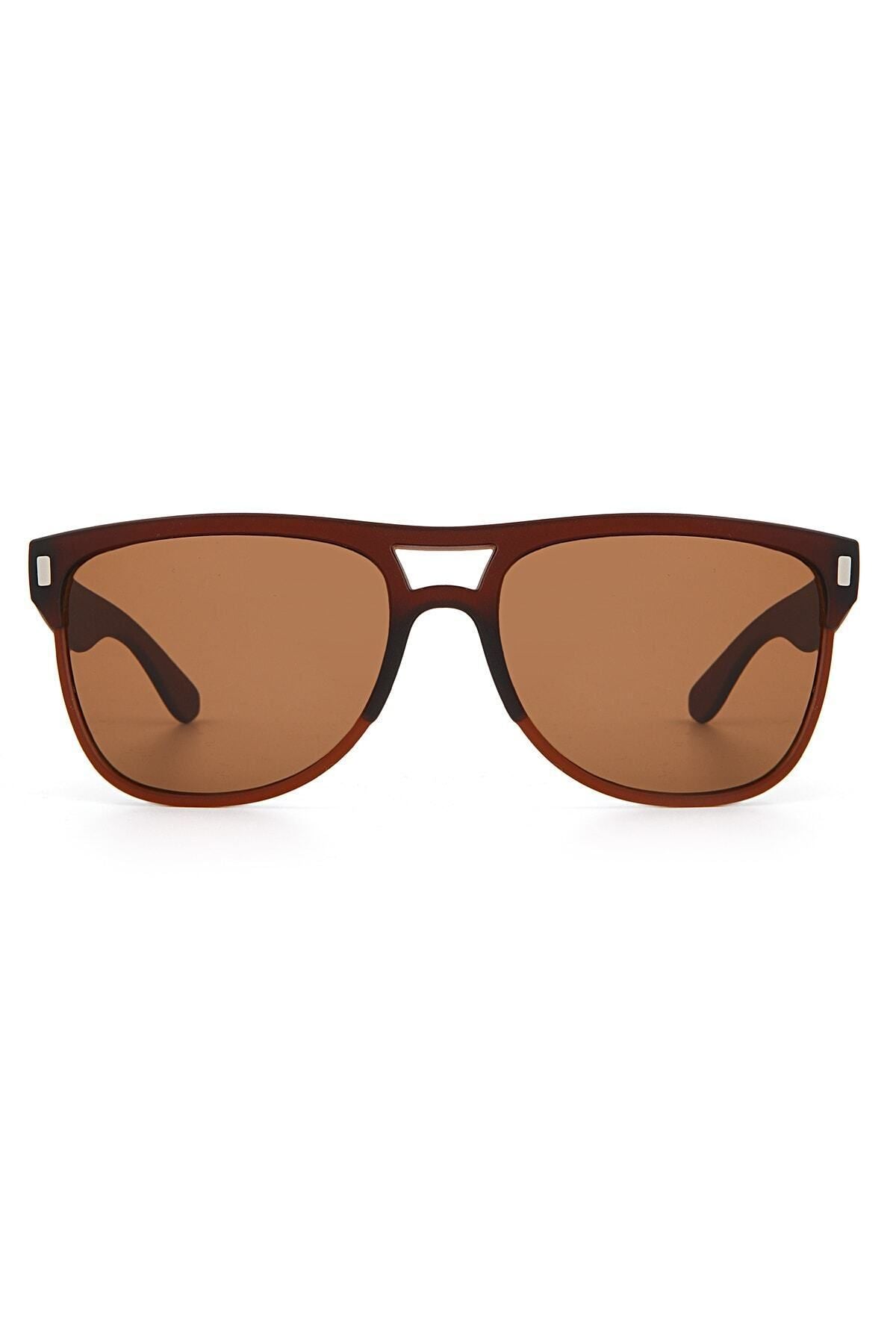 Aqua di Polo 1987 Brown Unisex Sunglasses APSN005101