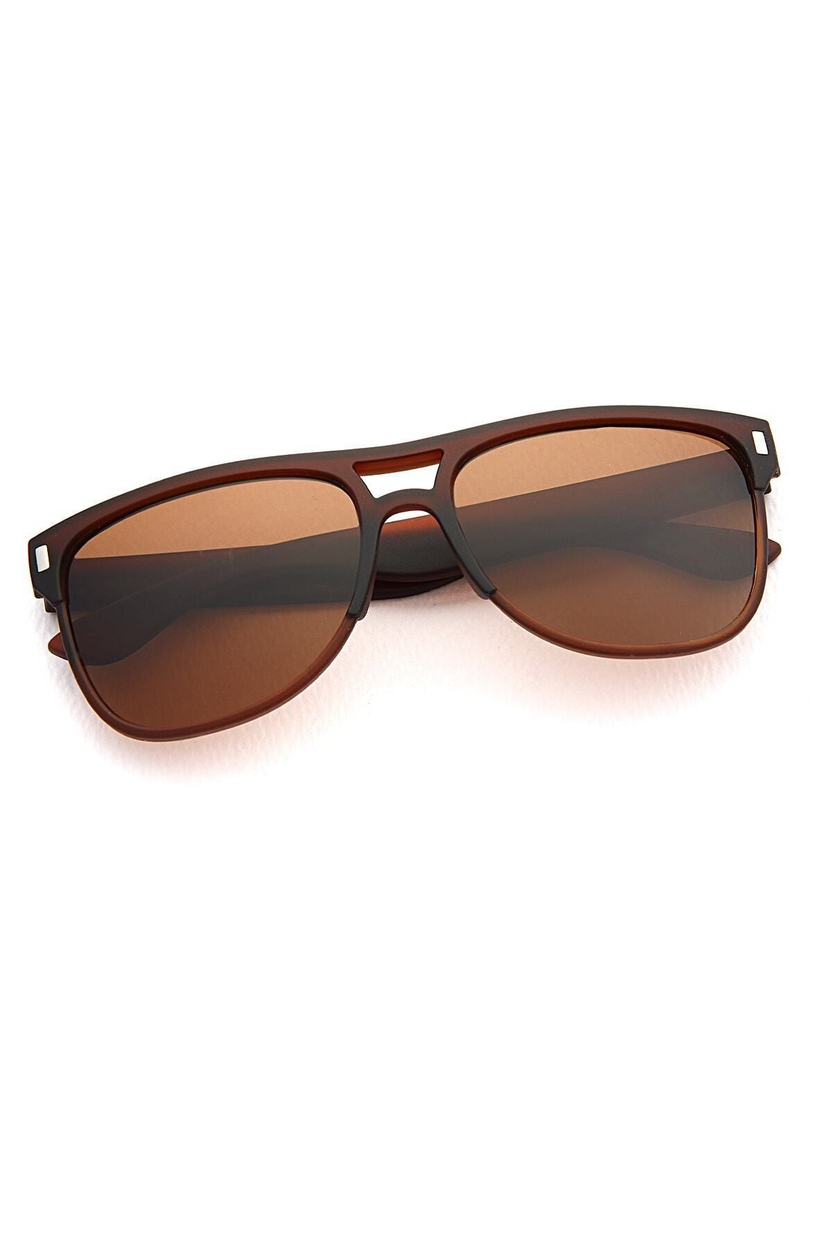 Aqua di Polo 1987 Brown Unisex Sunglasses APSN005101