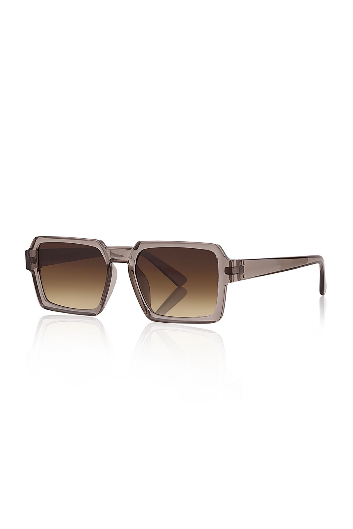 Unisex Vizon Güneş Gözlüğü Apsn010403