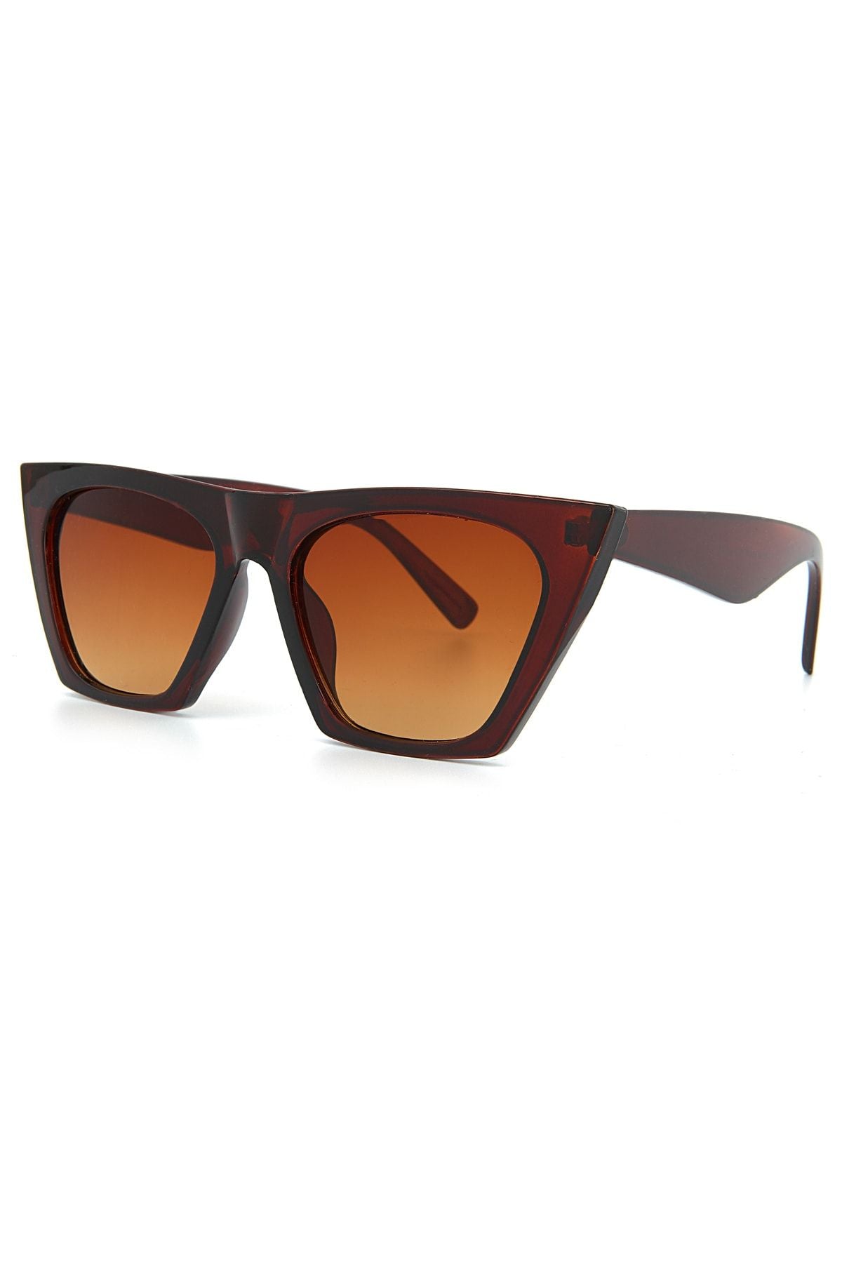 Aqua di Polo 1987 Brown Cat Eye Women's Sunglasses APSS053300