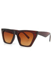 Aqua di Polo 1987 Brown Cat Eye Women's Sunglasses APSS053300