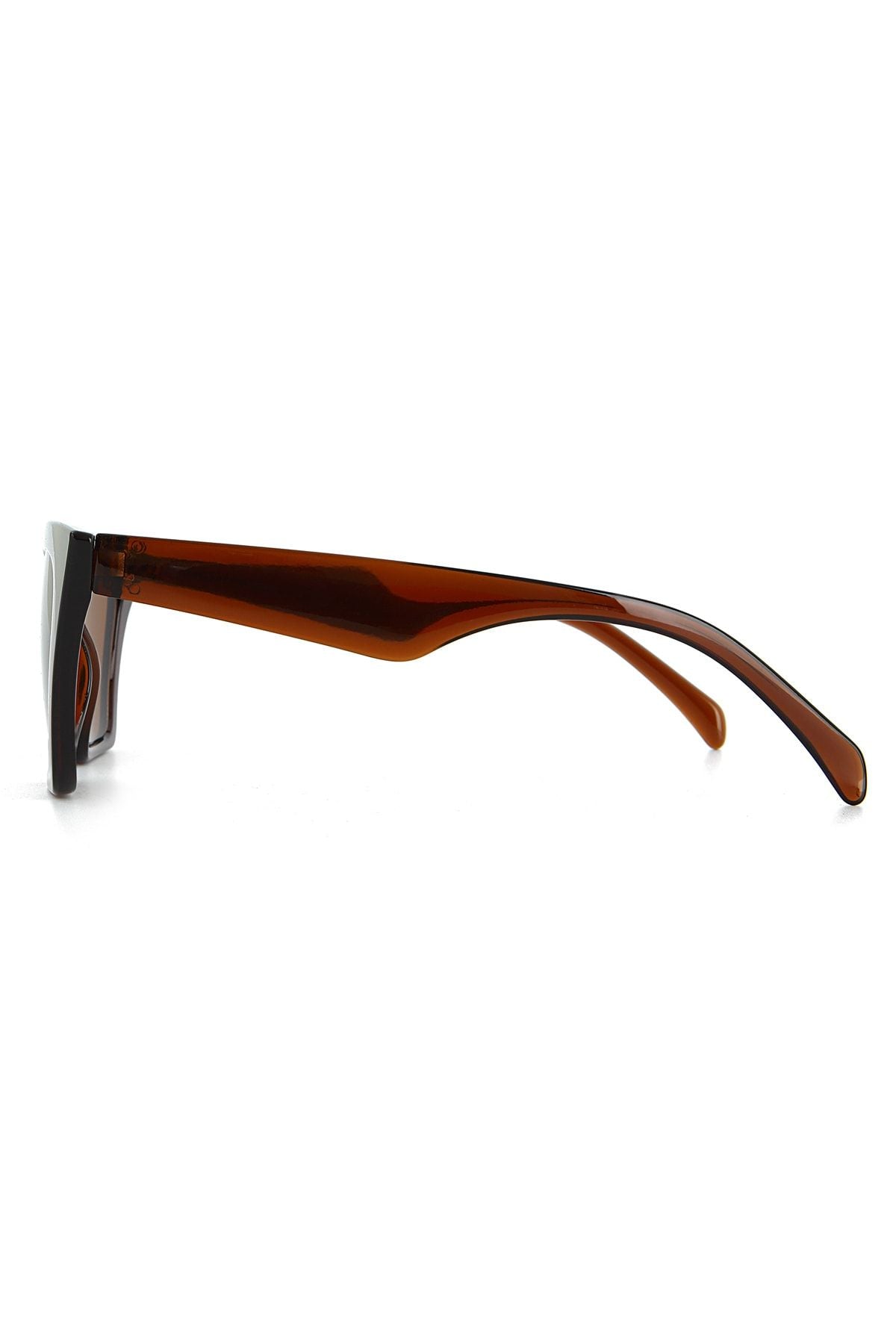 Aqua di Polo 1987 Brown Cat Eye Women's Sunglasses APSS053300