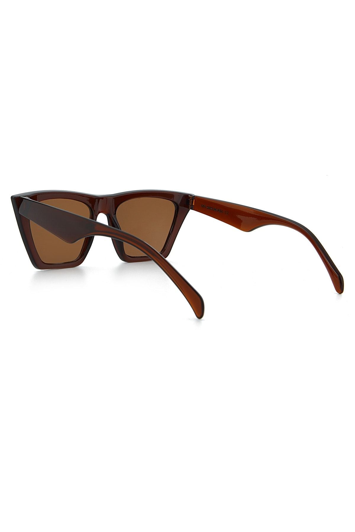 Aqua di Polo 1987 Brown Cat Eye Women's Sunglasses APSS053300