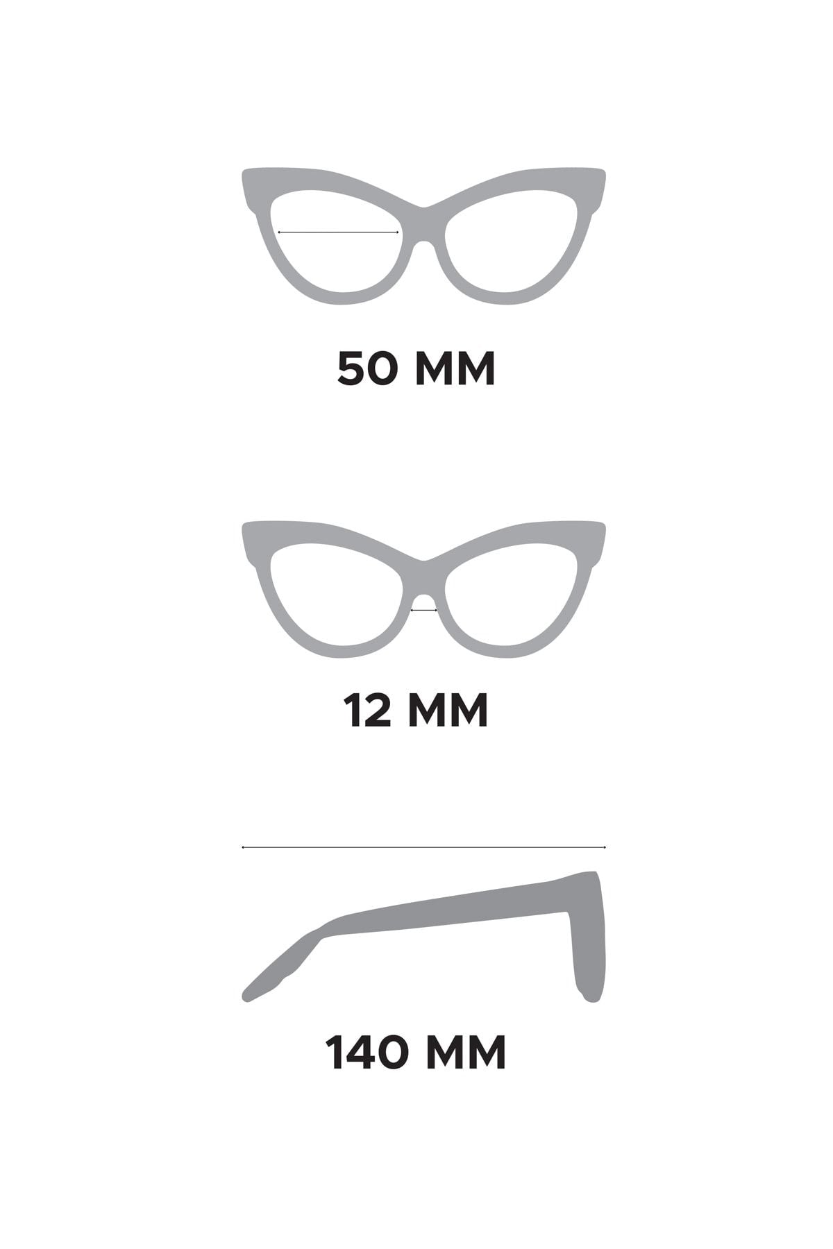 Aqua di Polo 1987 Brown Cat Eye Women's Sunglasses APSS053300