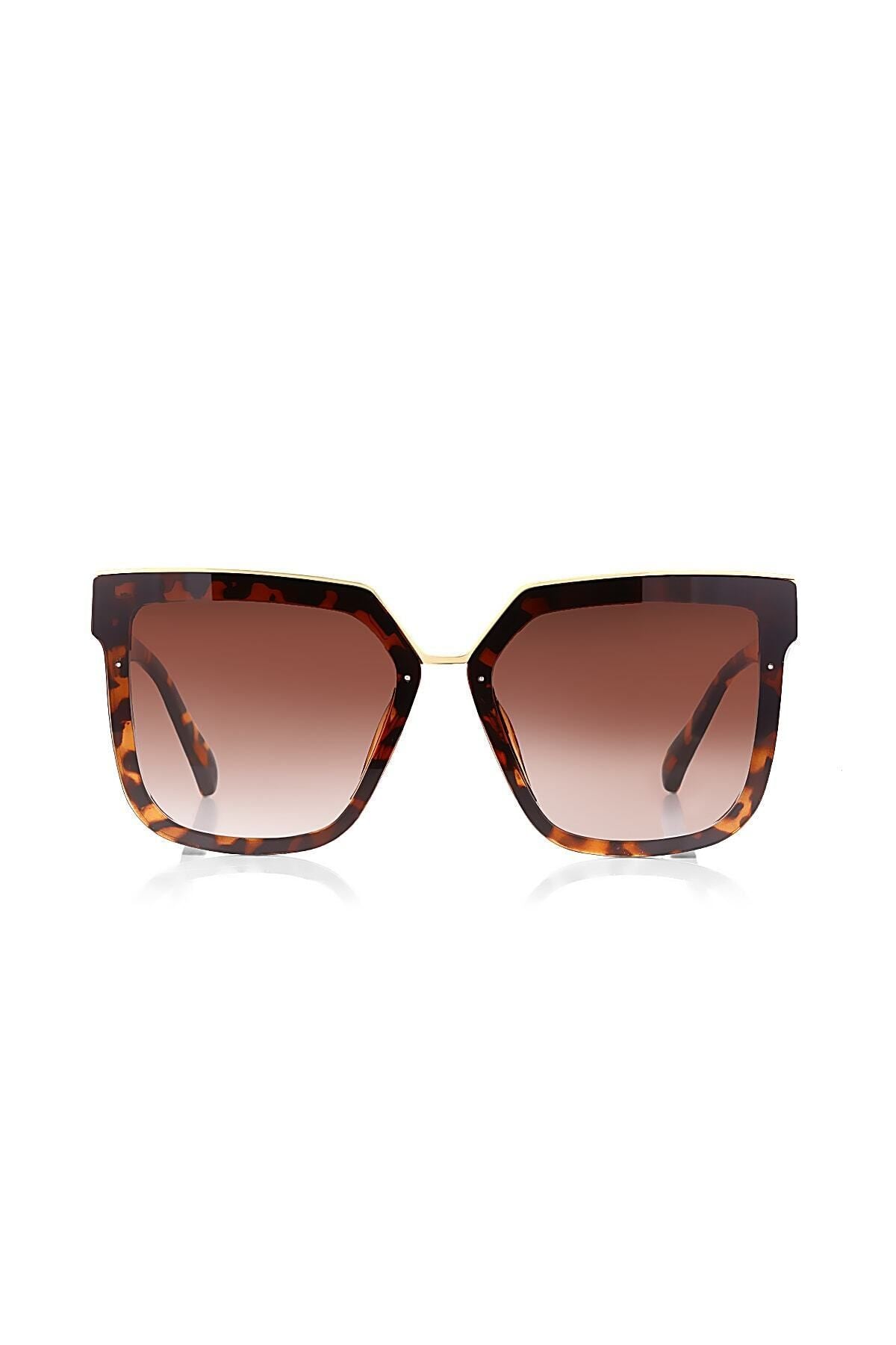 Aqua di Polo 1987 Brown Women's Sunglasses APSU031602