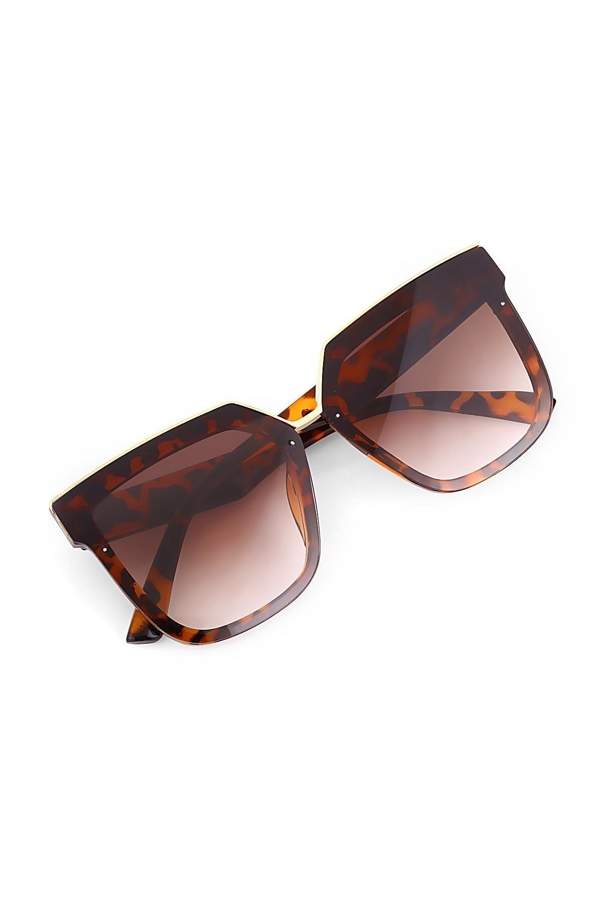 Aqua di Polo 1987 Brown Women's Sunglasses APSU031602