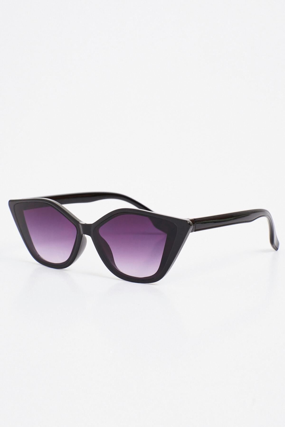 Cat Eye Füme Kadın Güneş Gözlüğü Apsn004500--55 Ekartman