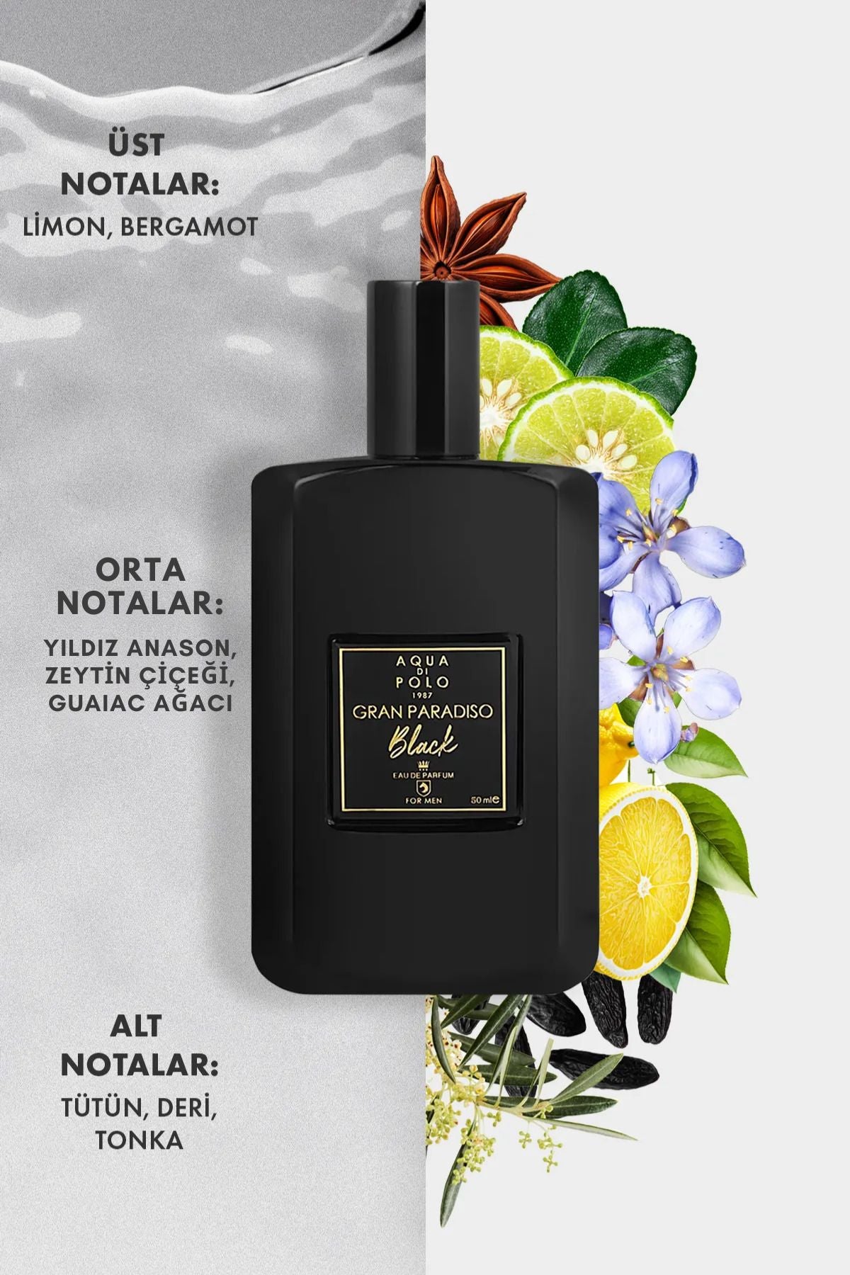 Aqua di Polo 1987 Gran Paradiso Black EDP 50 ml Men's Perfume APCN000508