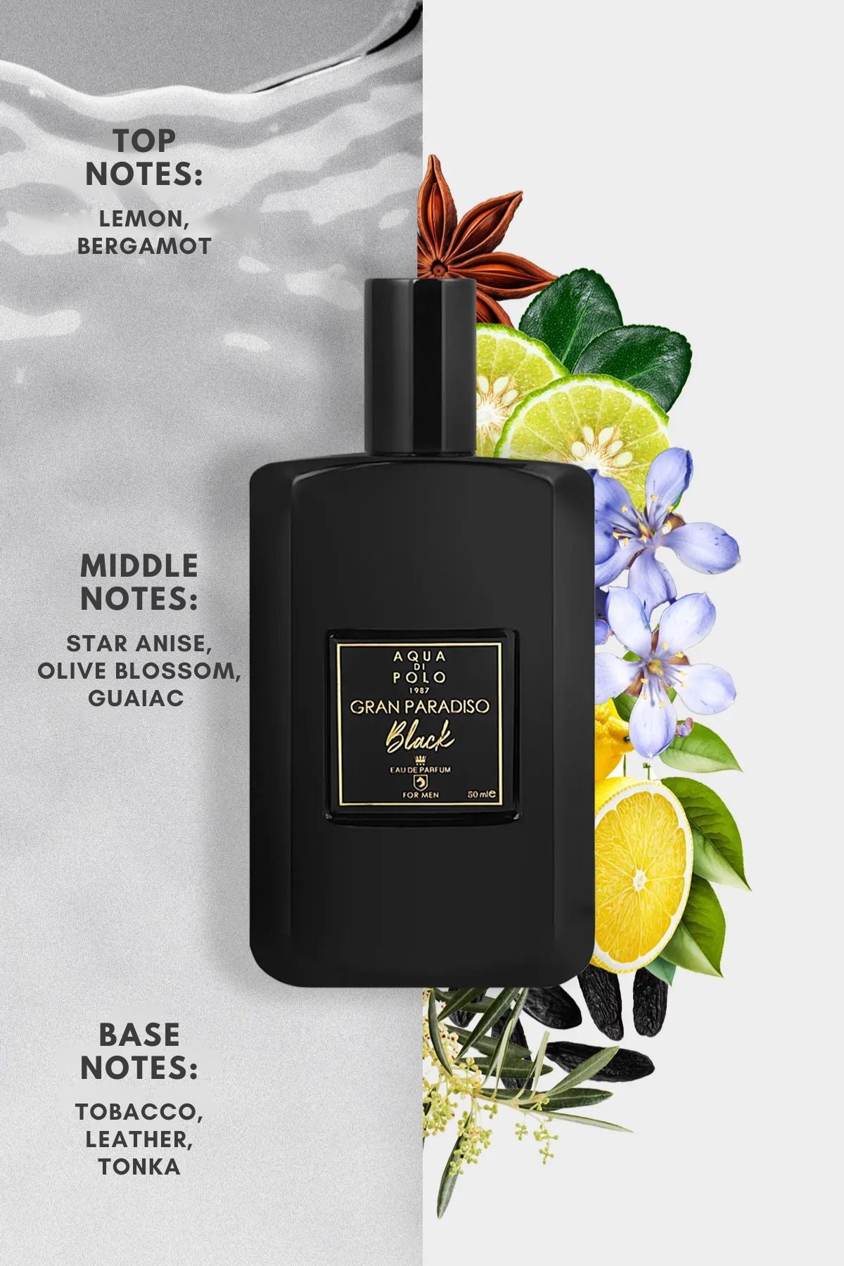 Aqua di Polo 1987 Gran Paradiso Black EDP 50 ml Men's Perfume APCN000508