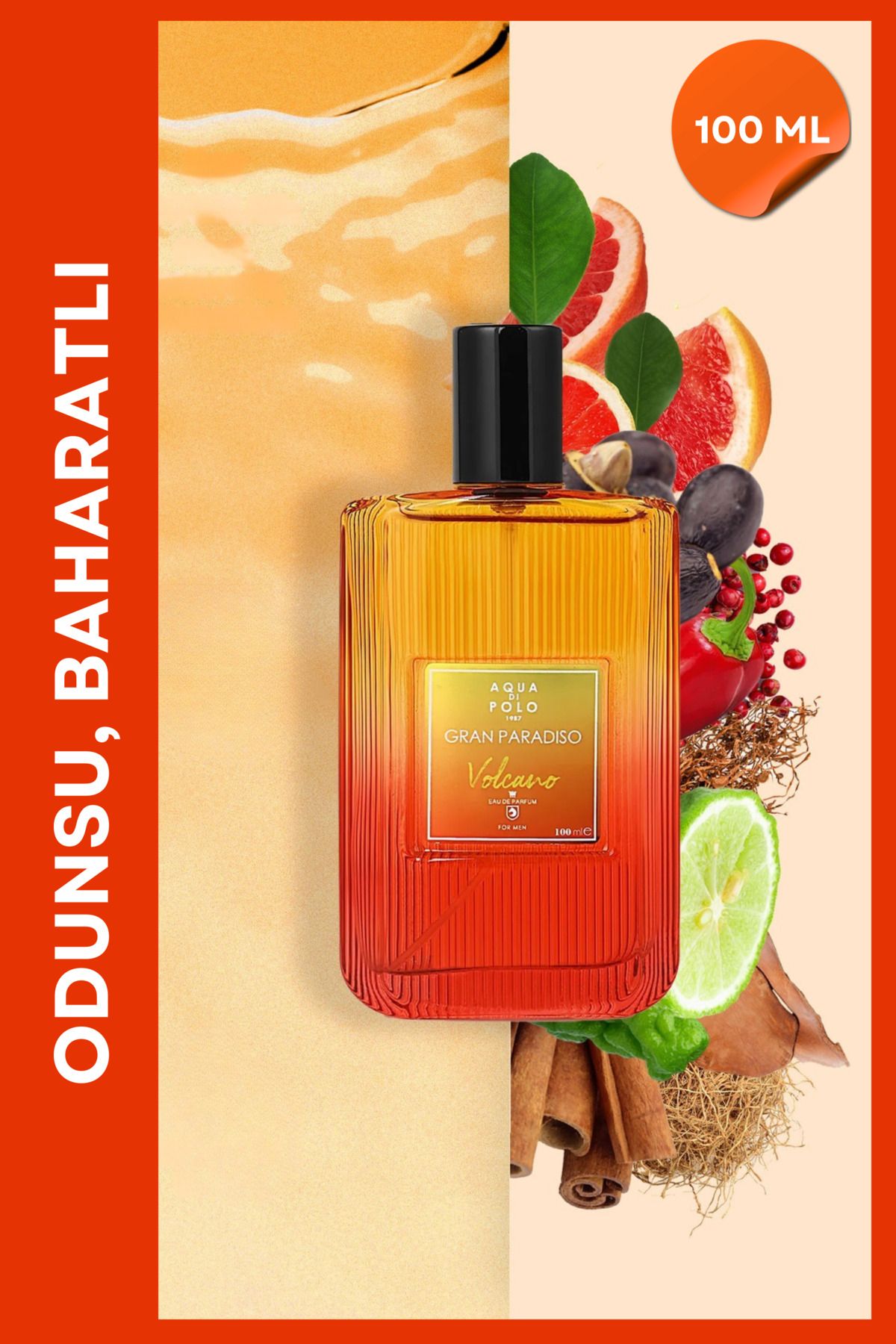 Aqua di Polo Gran Paradiso Volcano 100 Ml EDP Men's Perfume