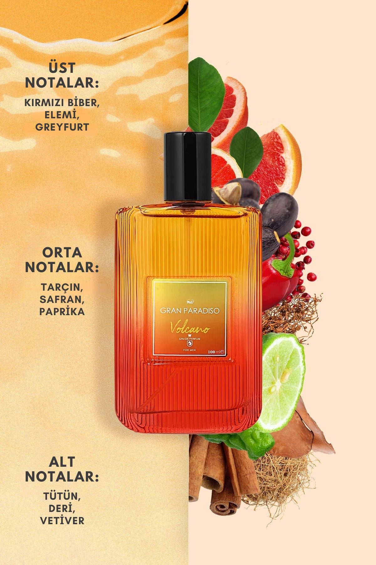 Aqua di Polo Gran Paradiso Volcano 100 Ml EDP Men's Perfume